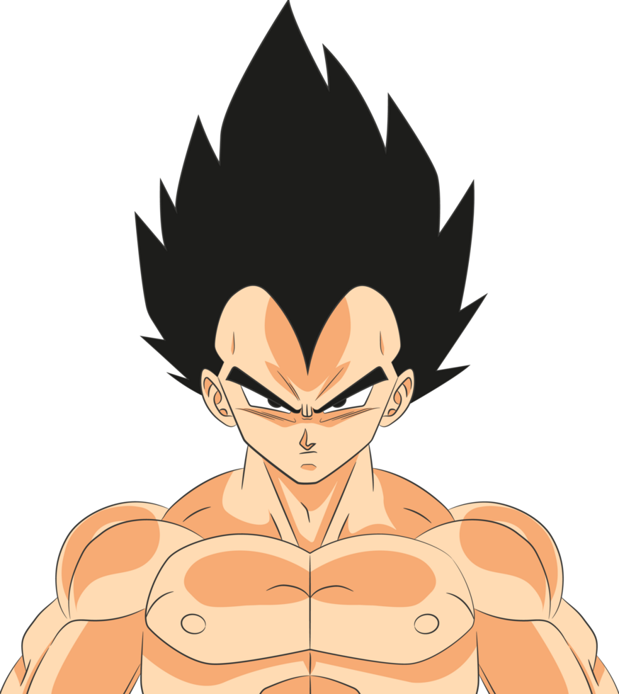Vegeta Proud Saiyan Warrior with Full Color Battle Damage No Background Image png