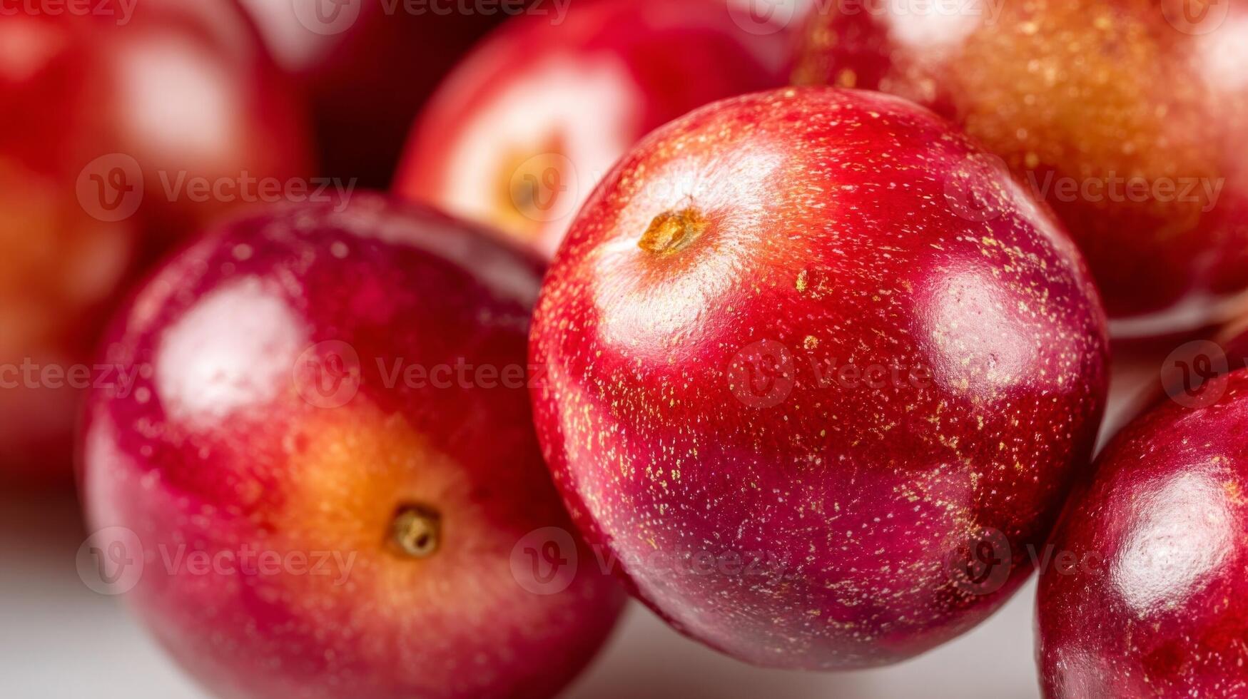 Closeup of Shiny Red Berries photo