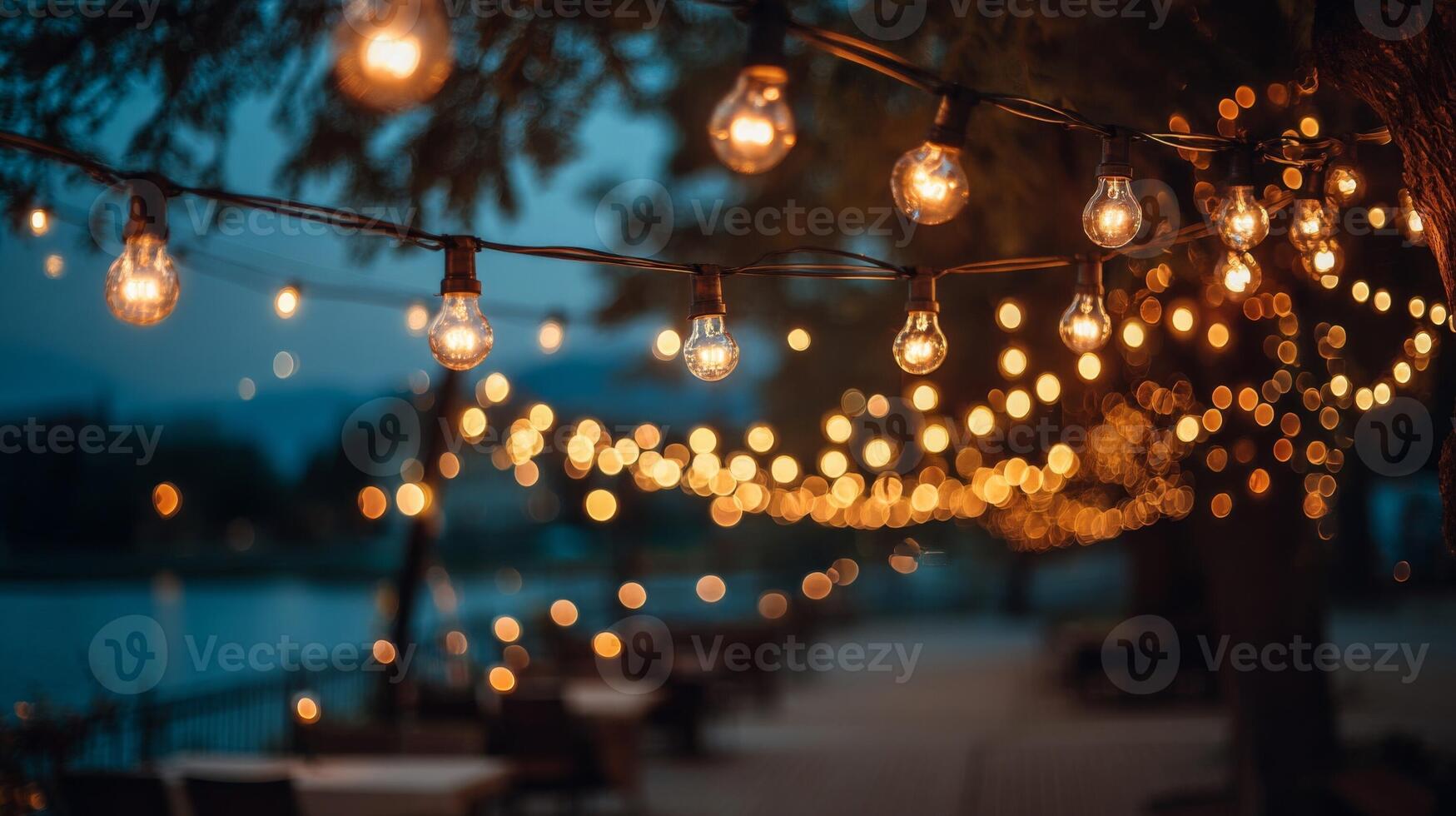 Warm String Lights Glowing at Night in a Garden Setting photo