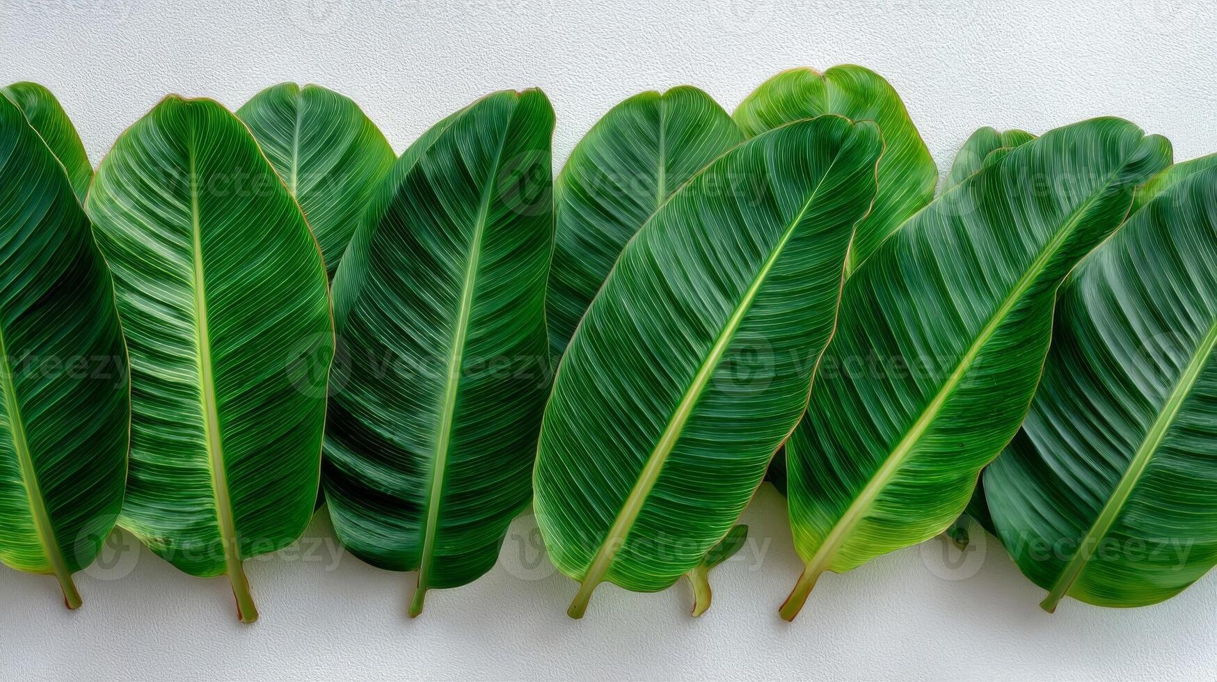 Green Leaves with Dots Pattern on White Background photo