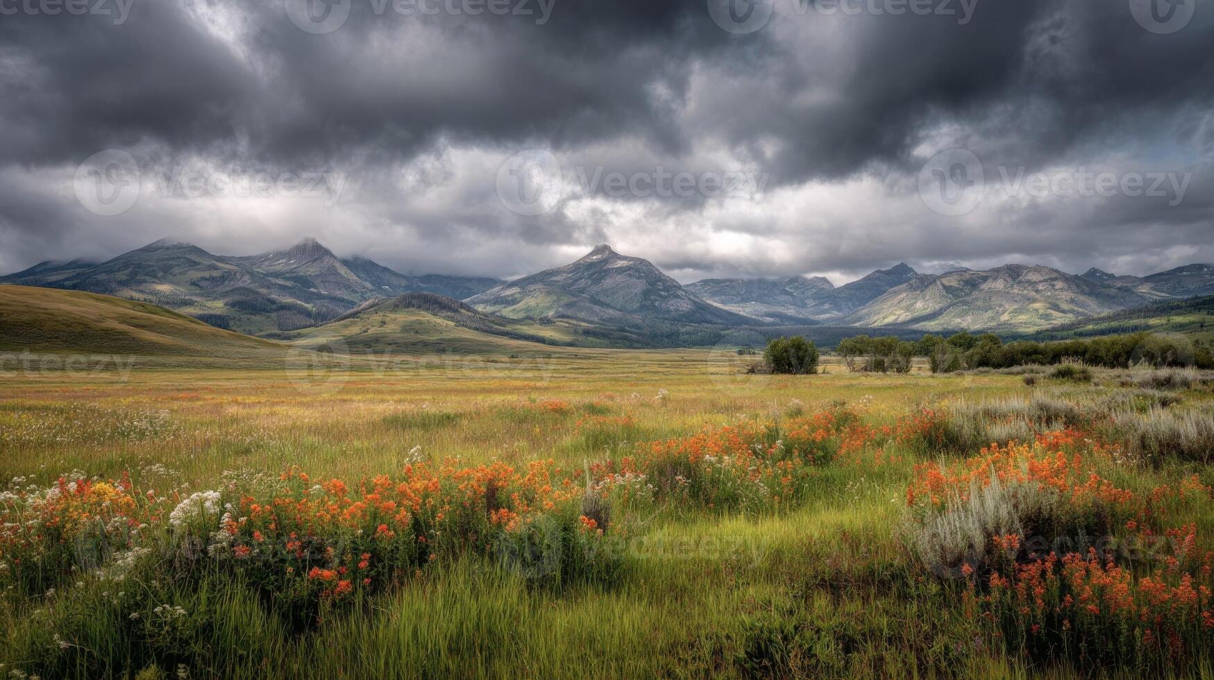 Dramatic Mountain Landscape with Wildflower Meadow photo