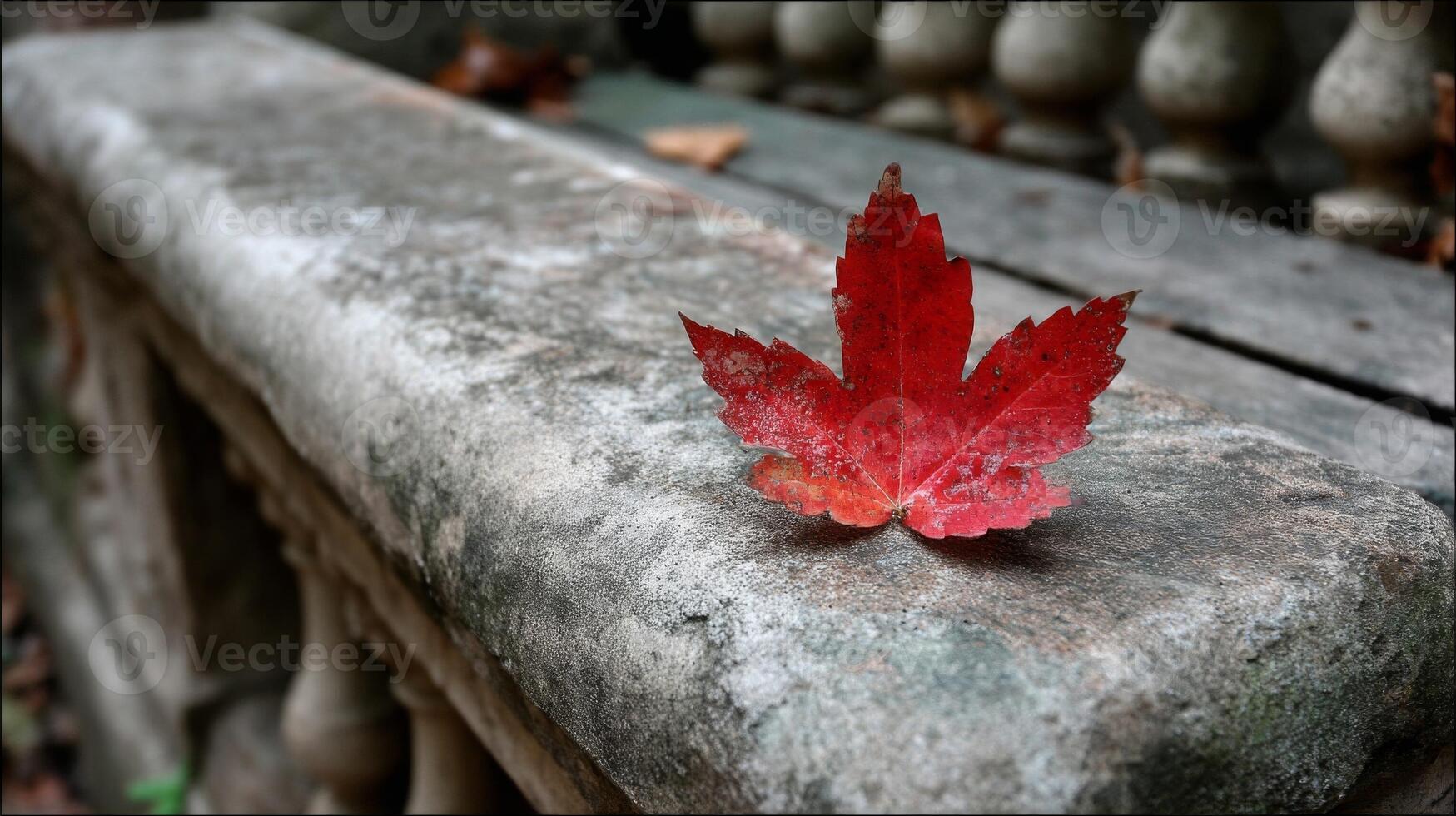 Red Maple Leaf on Weathered Stone Bench photo