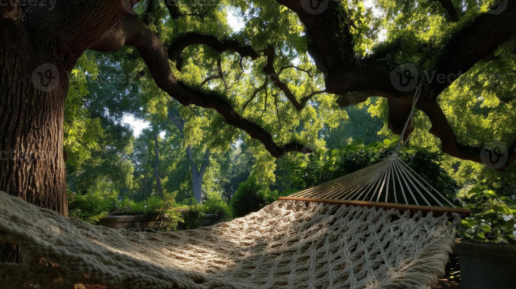 Relaxing Hammock Under Lush Green Tree Canopy photo