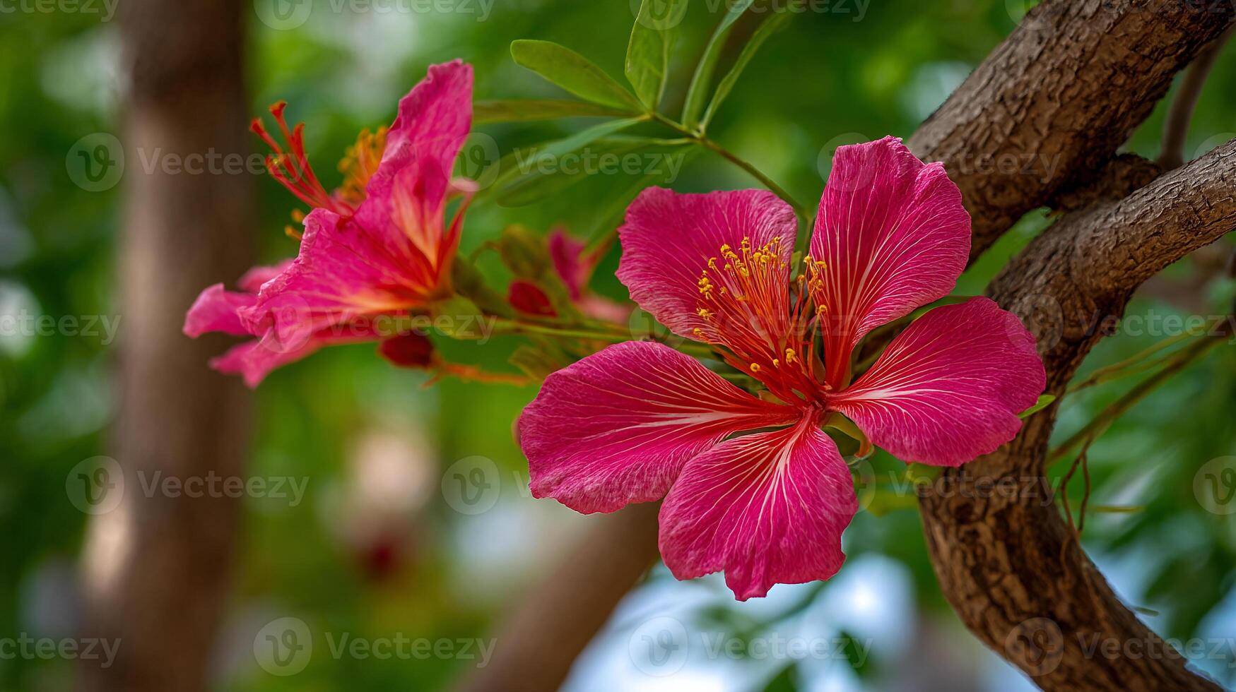Flower resting against nature tones in warm photography light photo