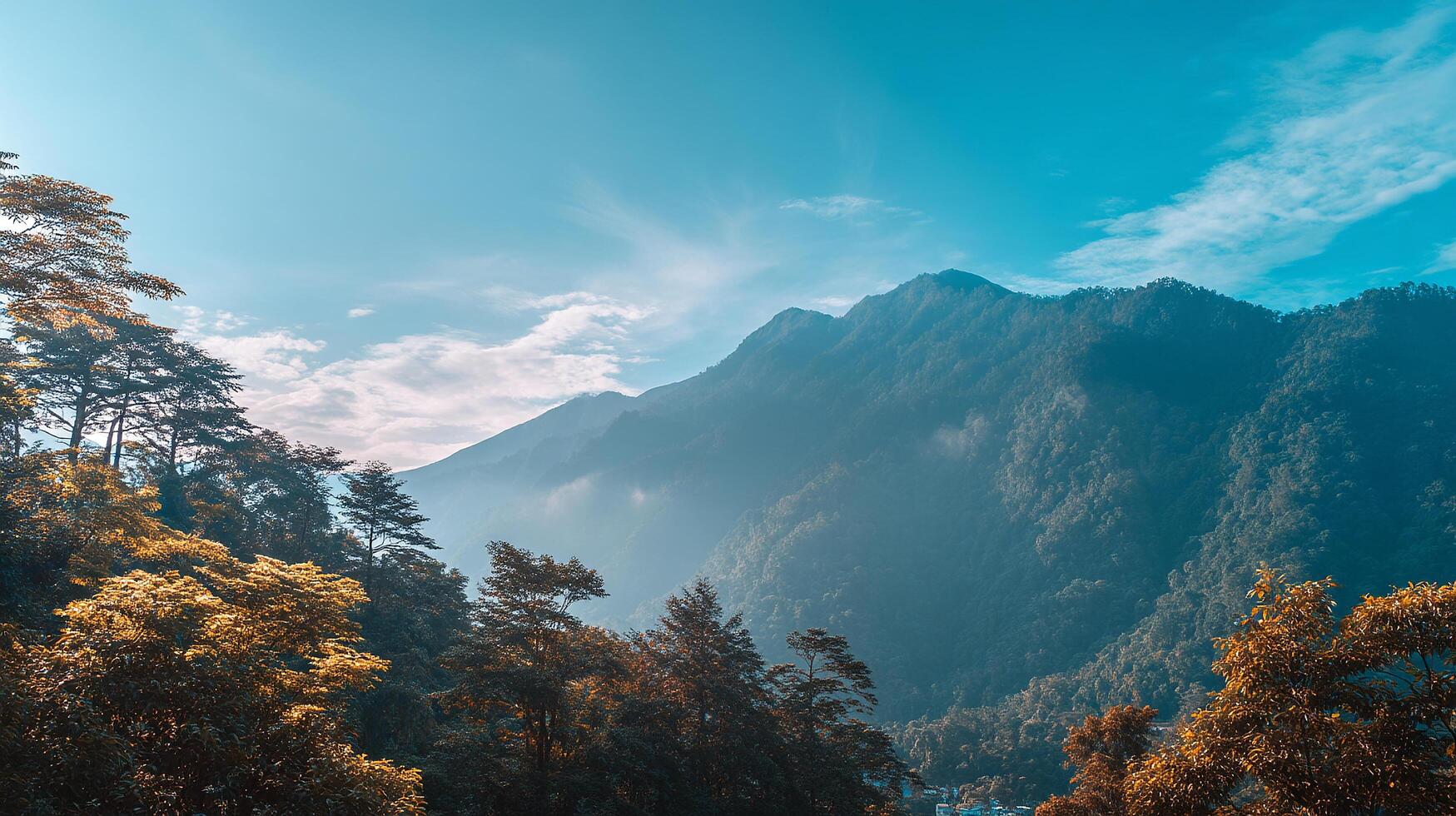 Richly textured scenes in natural landscape photography photo