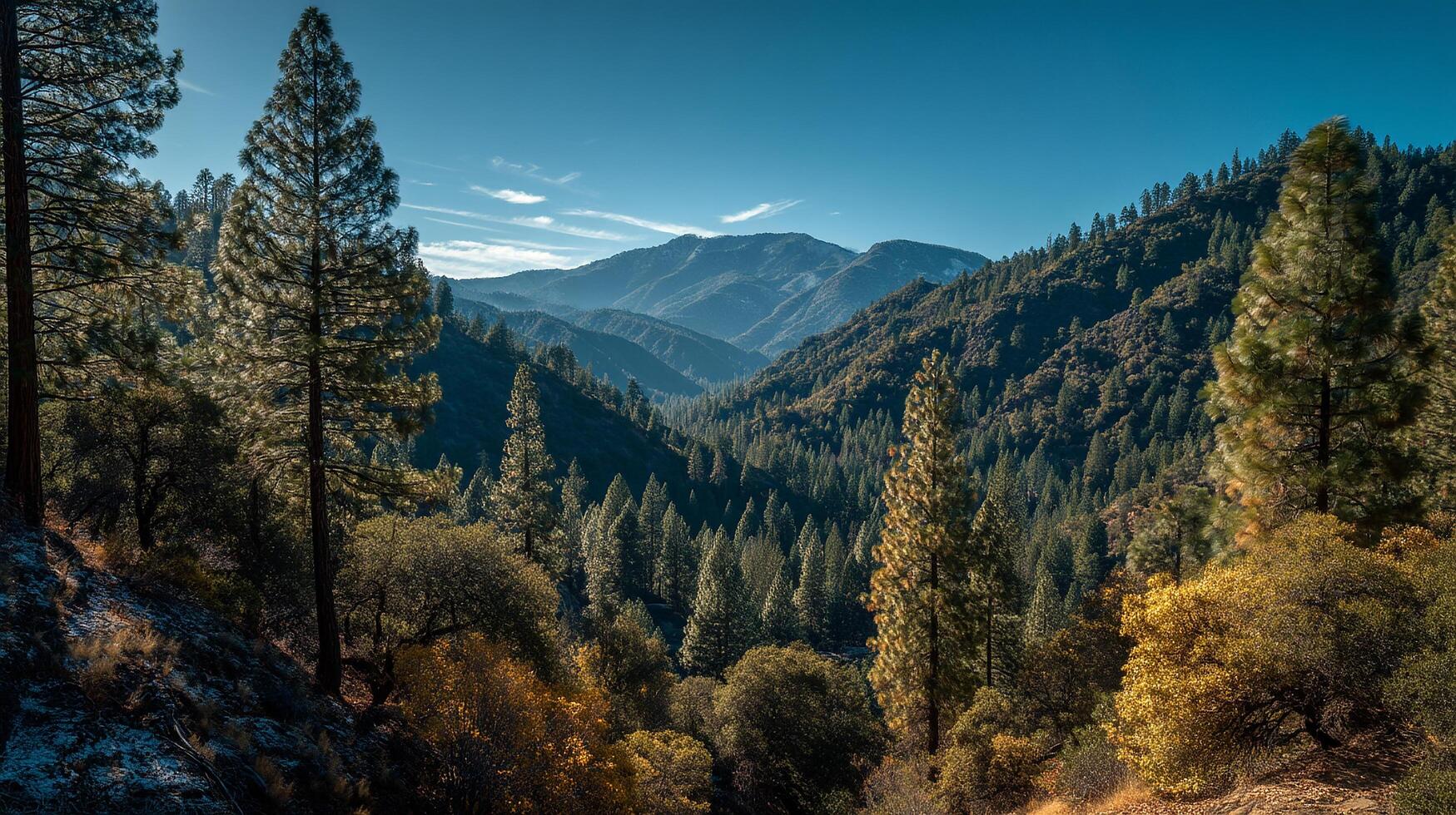 Commercial landscape photography of pure natural beauty photo