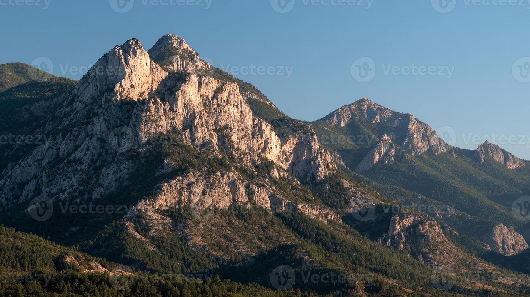 Lush scenery in detailed natural photography photo