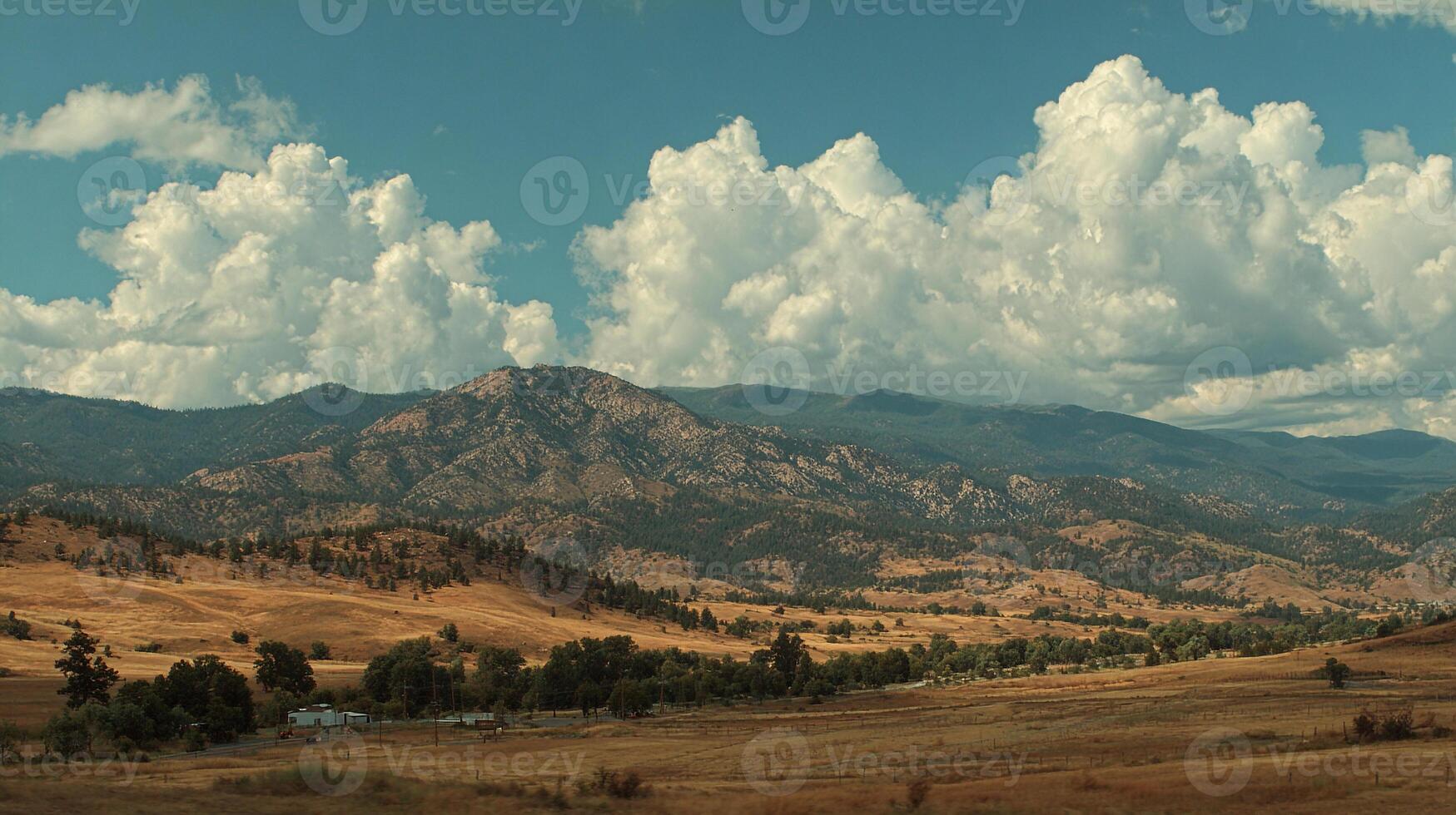 High resolution summer meadow with sharp textures photo