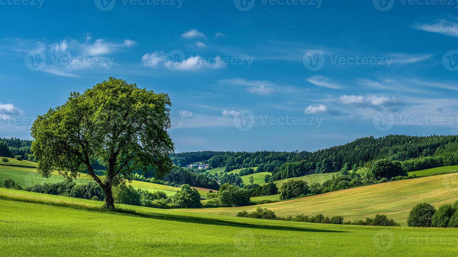 Summer countryside under clear sunny blue sky photo