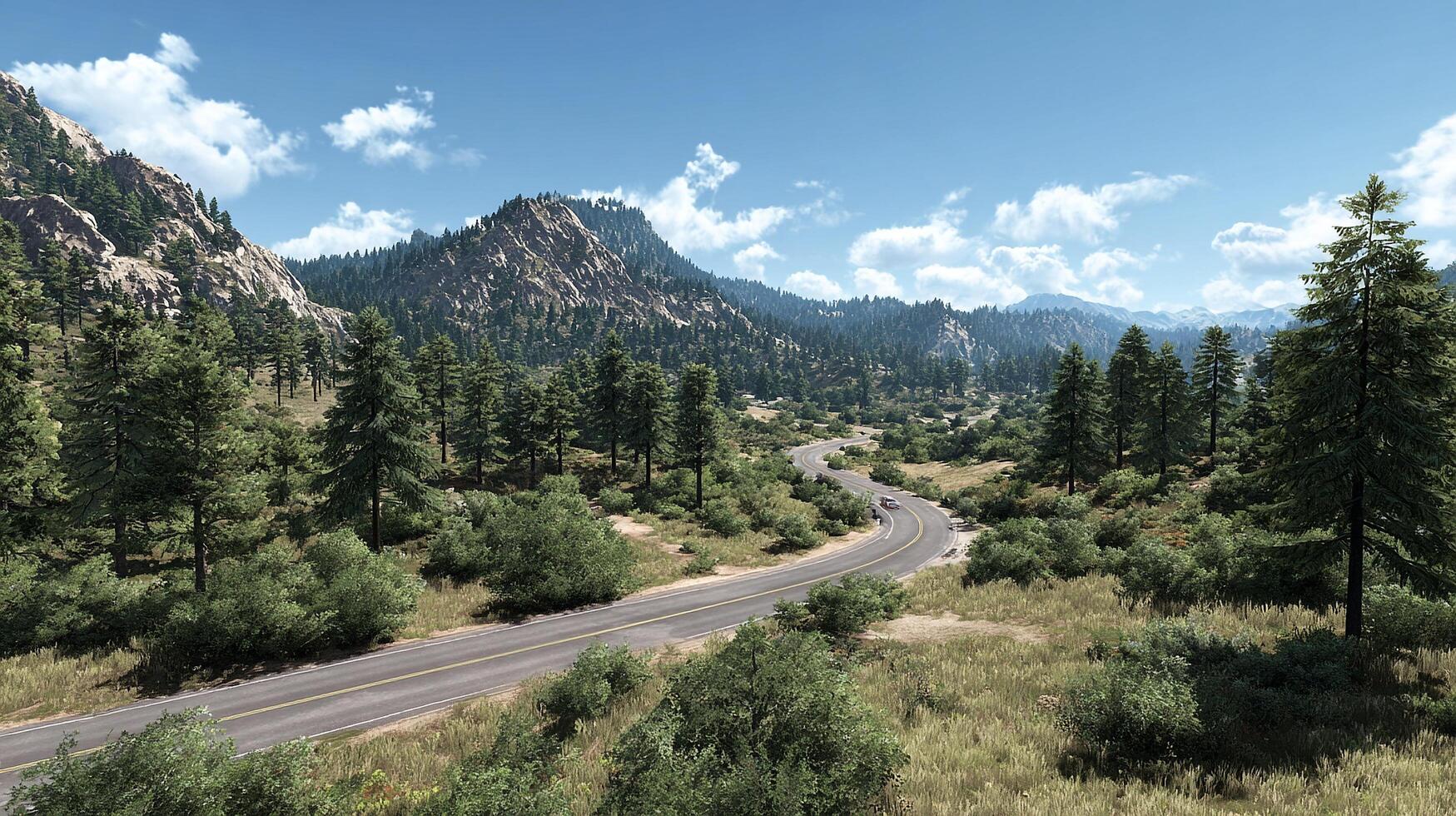 Road trail with stunning natural details and light photo