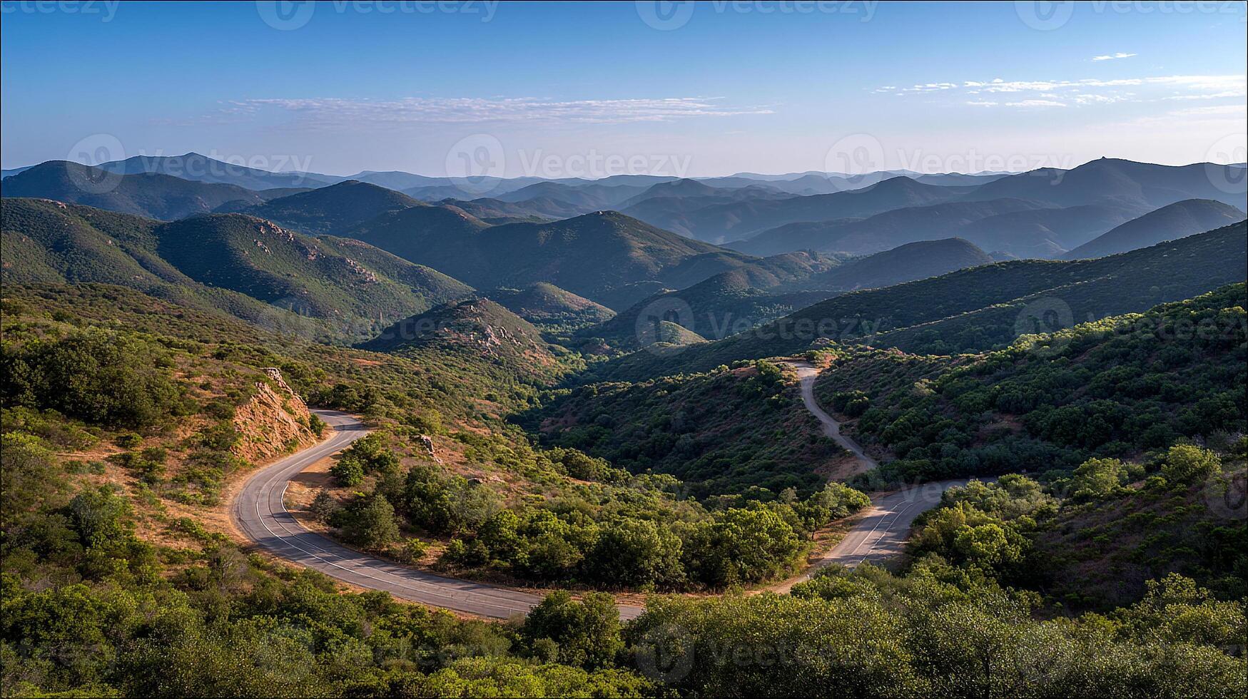 Road image surrounded by lush forest scenery photo
