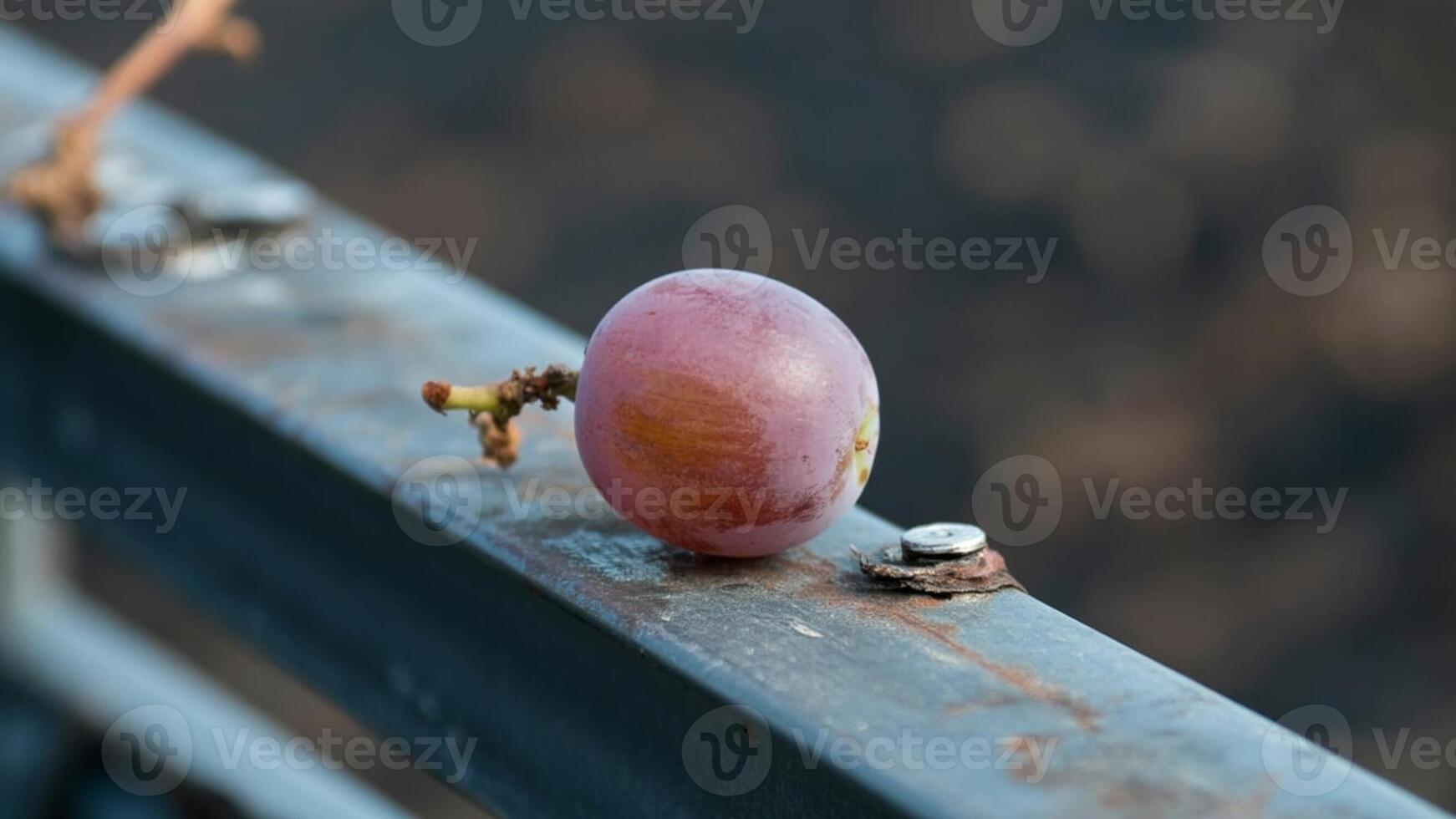 A grape is sitting on top of a metal railing photo