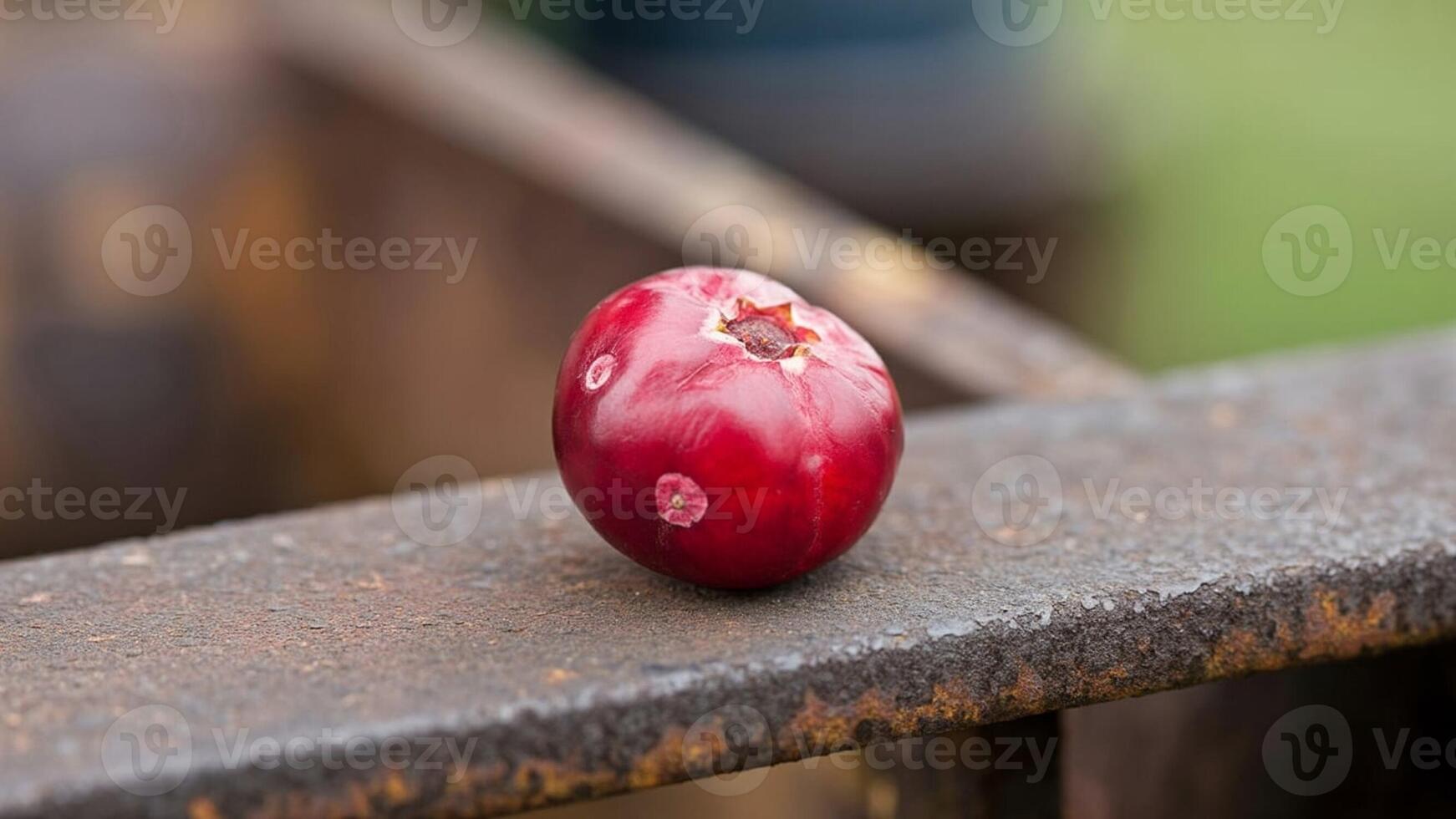 A red fruit sitting on top of a wooden bench photo