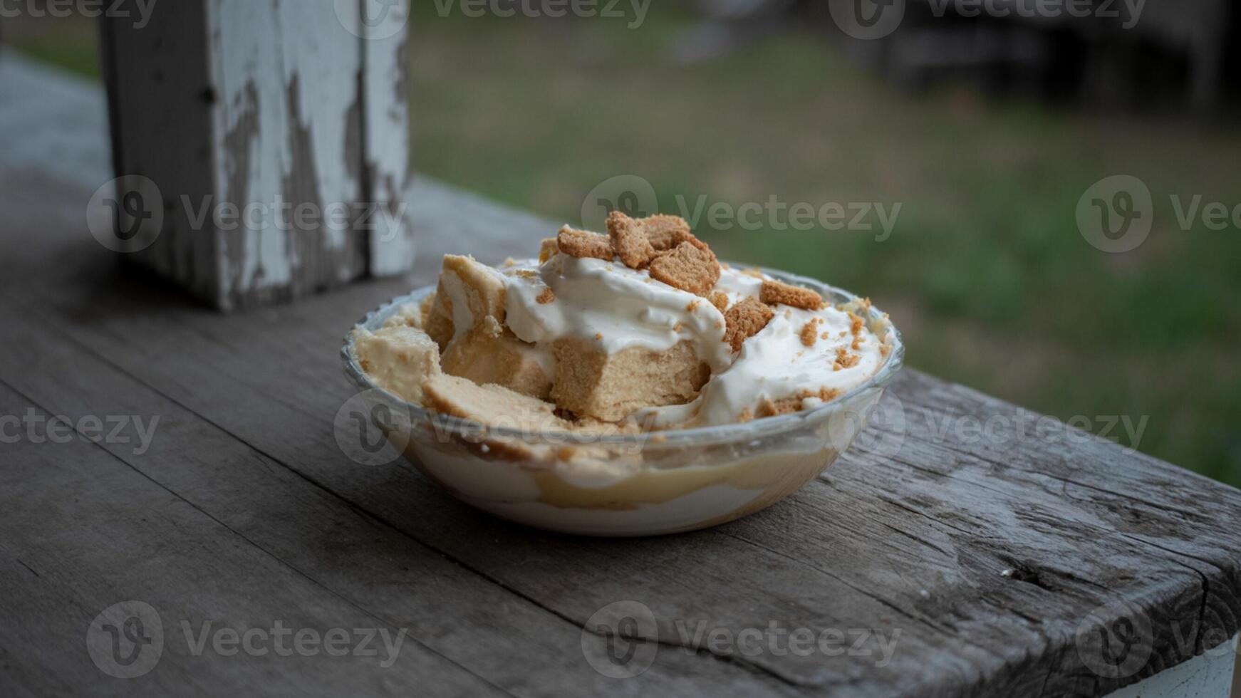 A bowl of ice cream with whipped cream and marshmallows photo