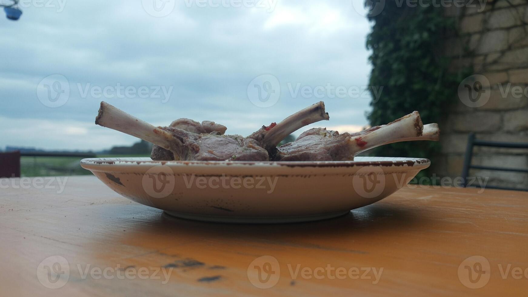 A plate with two pieces of meat on it photo