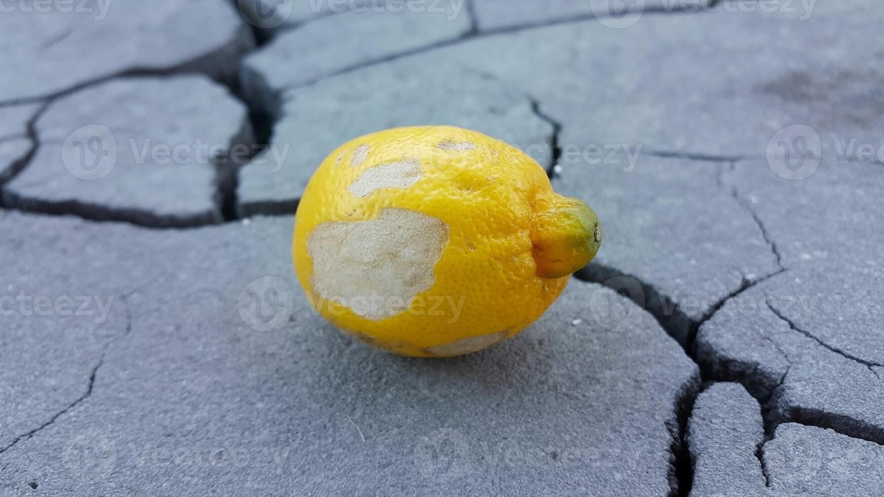 A lemon with a crack on it sitting on the ground photo
