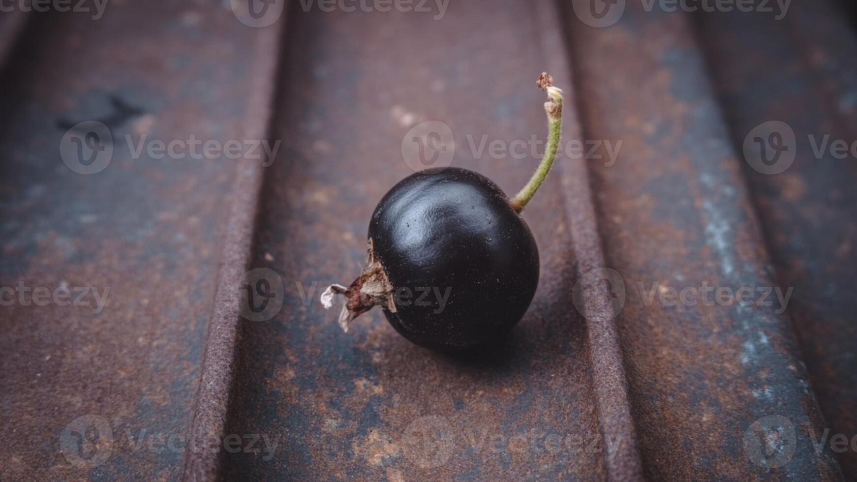 A single black currant berry resting on a weathered metal surface in a close up detailed shot photo