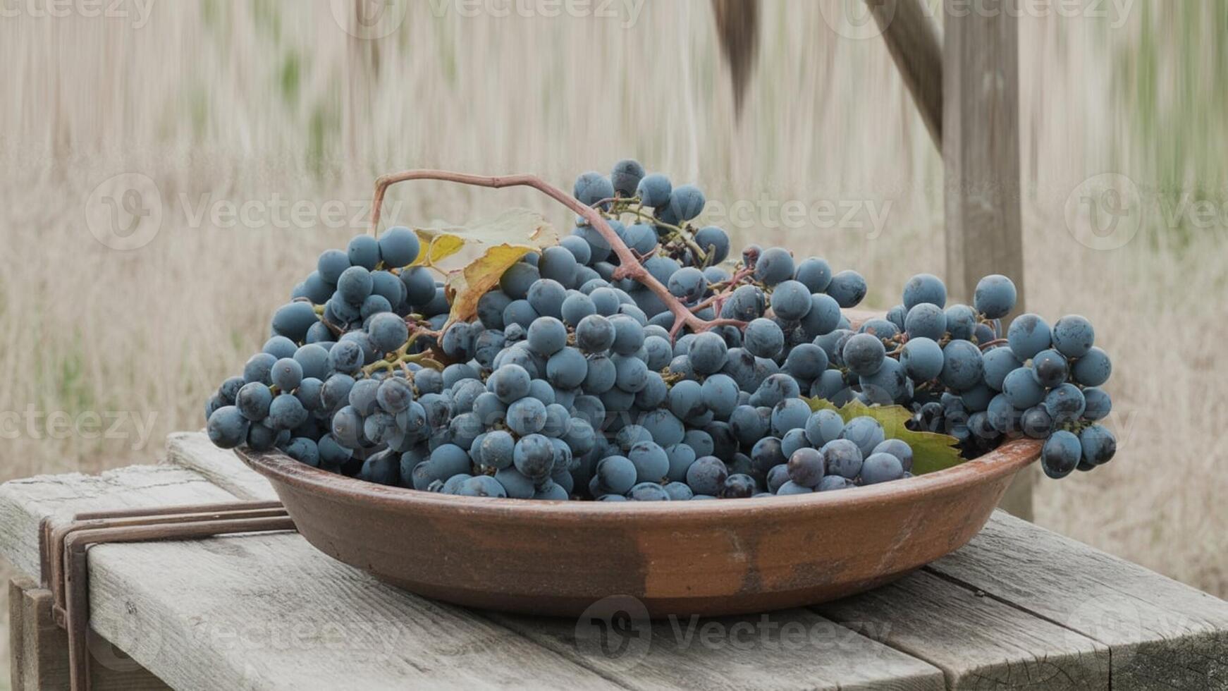 A bowl filled with dark grapes resting on a weathered wooden surface in an outdoor setting vision photo