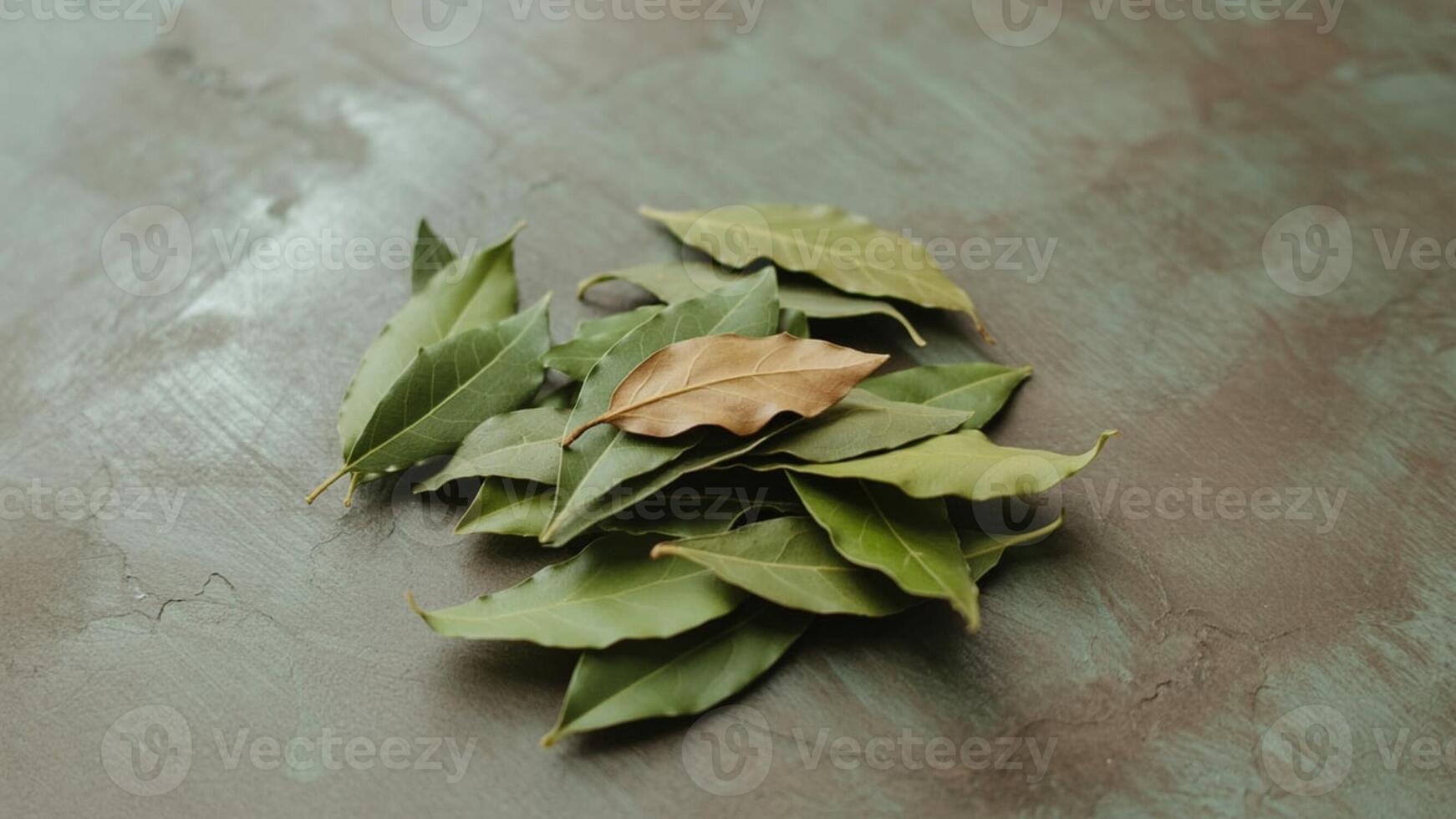 A pile of bay leaves with one brown leaf on a textured gray surface in a close up studio shot photo