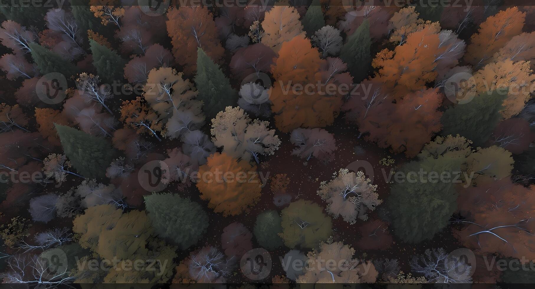 Overhead View of Autumn Forest with Colorful Fall Foliage photo