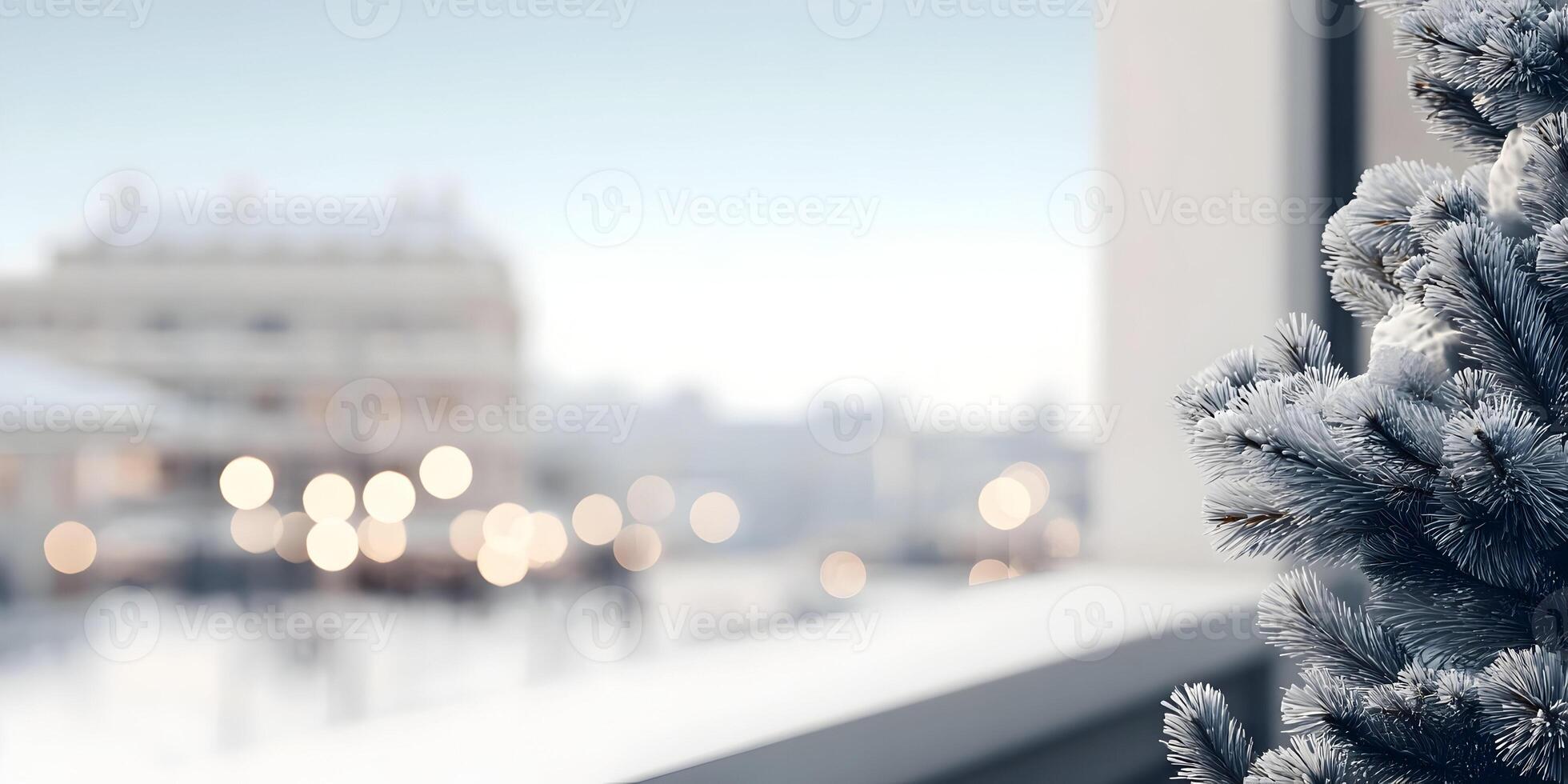 Snow Covered Pine Tree Branch Winter City Background photo