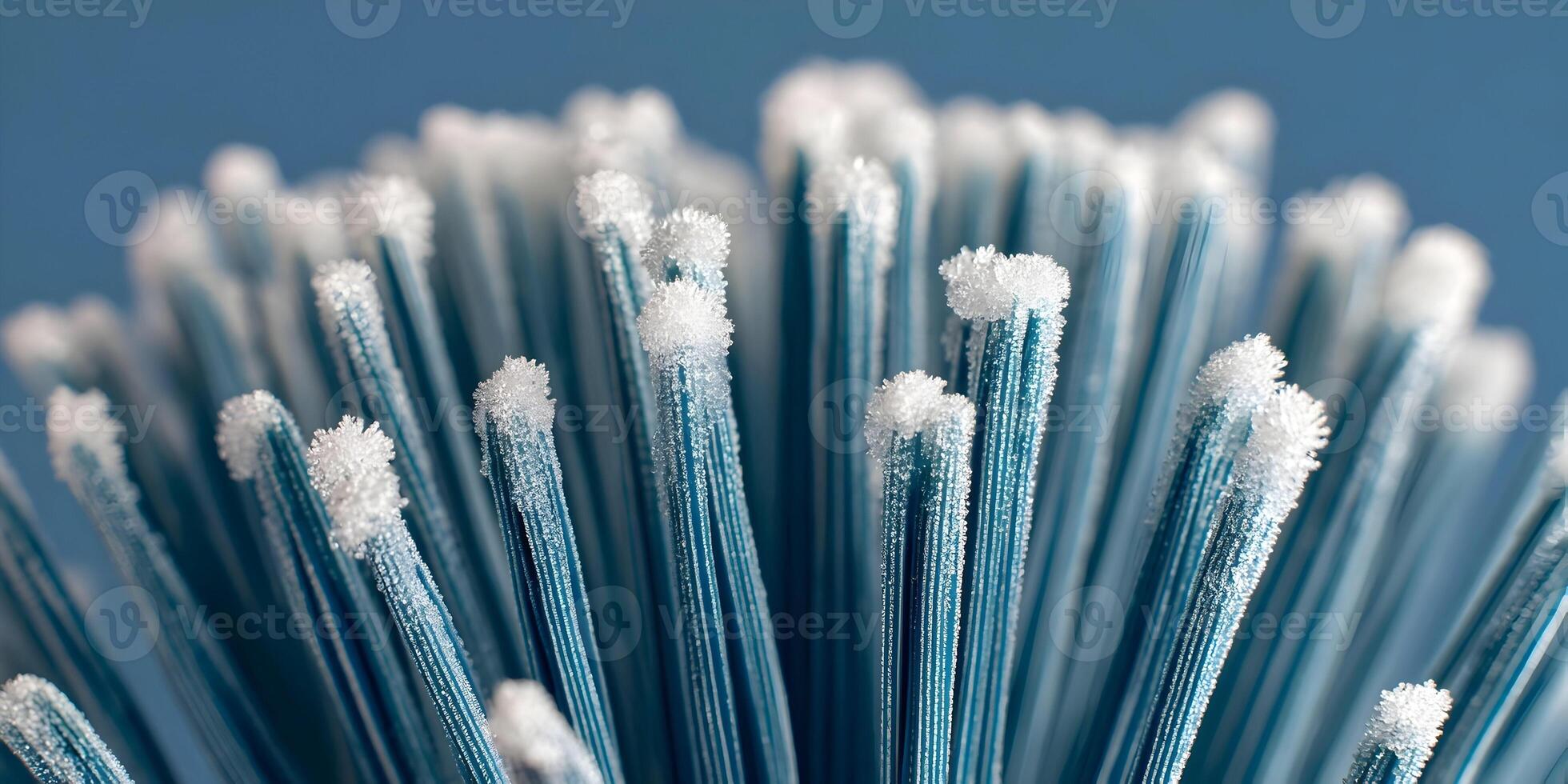 Closeup Frost Covered Blue Bristles Abstract Texture photo