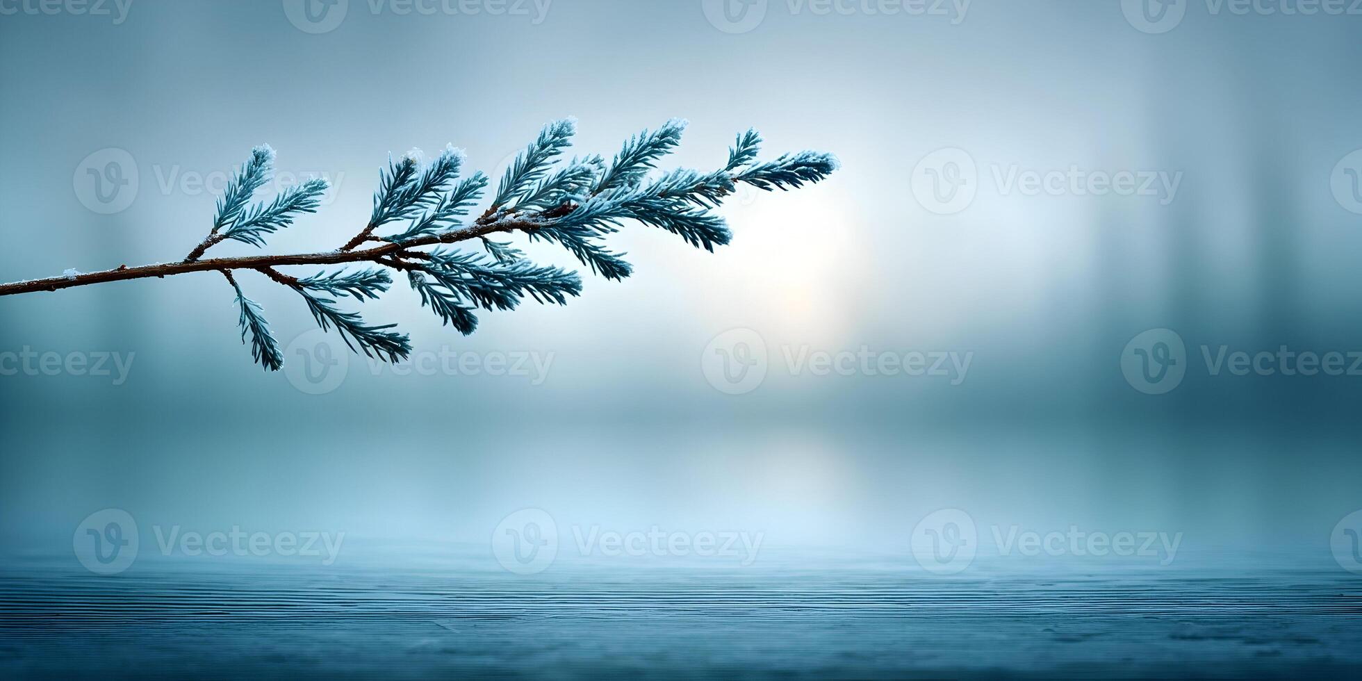 Frozen Pine Branch Winter Nature Scene Frosty Needles Cold Weather photo