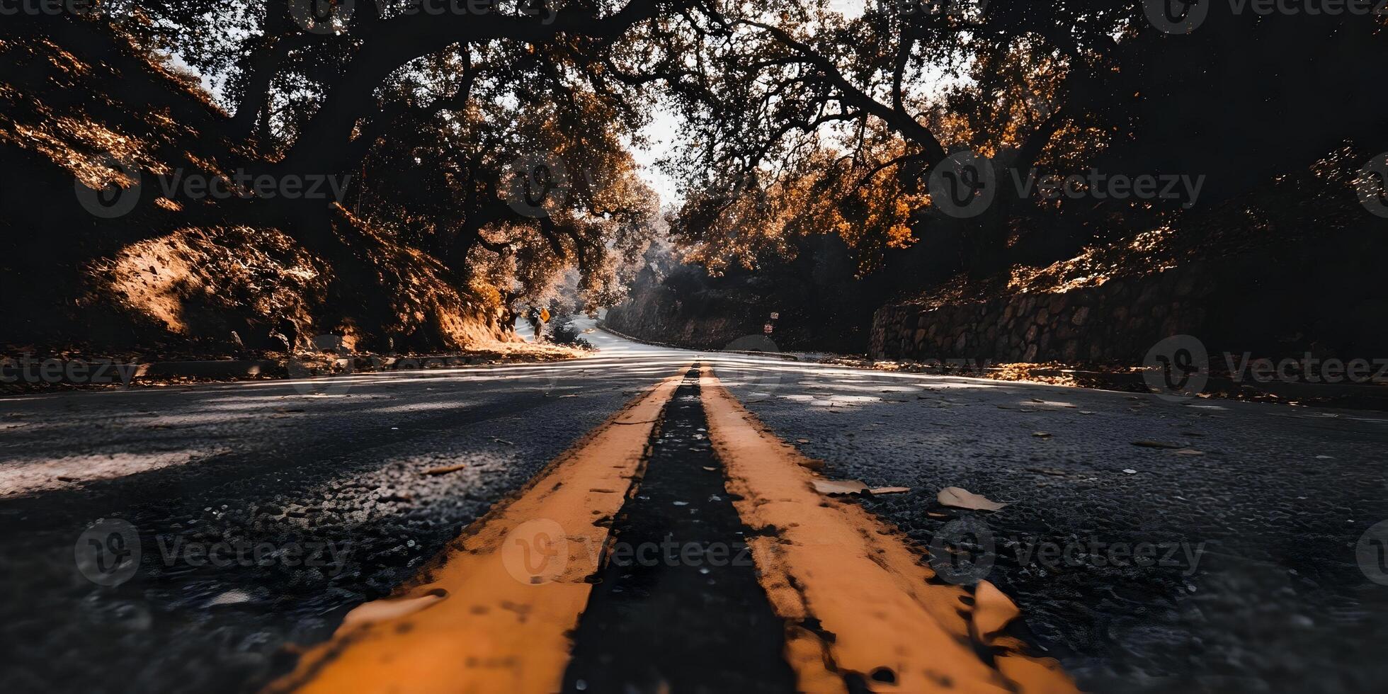 Autumn Road Fall Foliage Winding Road Trees Asphalt Pathway Scenic Route Orange Lines photo