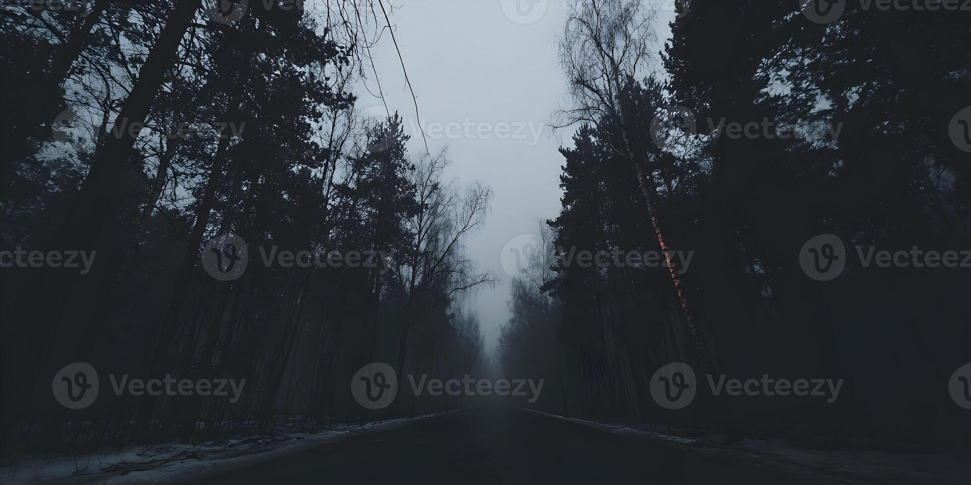 Dark Foggy Forest Road Winter Scenery photo