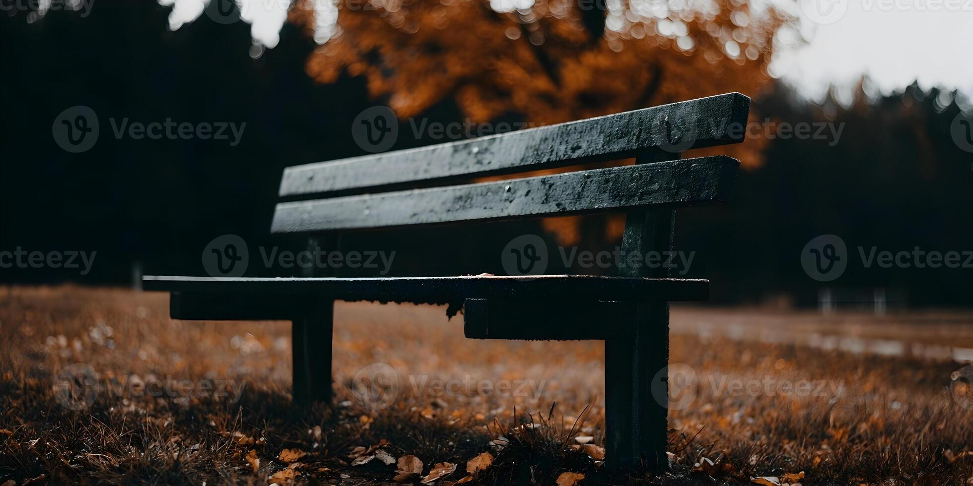 Dark Wooden Park Bench Autumn Leaves Fall Season Grass photo