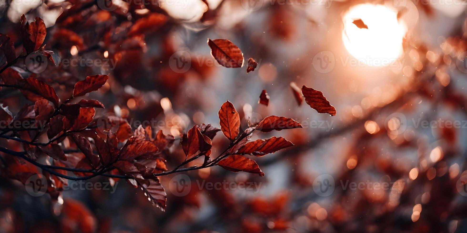 Autumn Leaves Branch Sunset Bokeh Background Red Brown Foliage photo