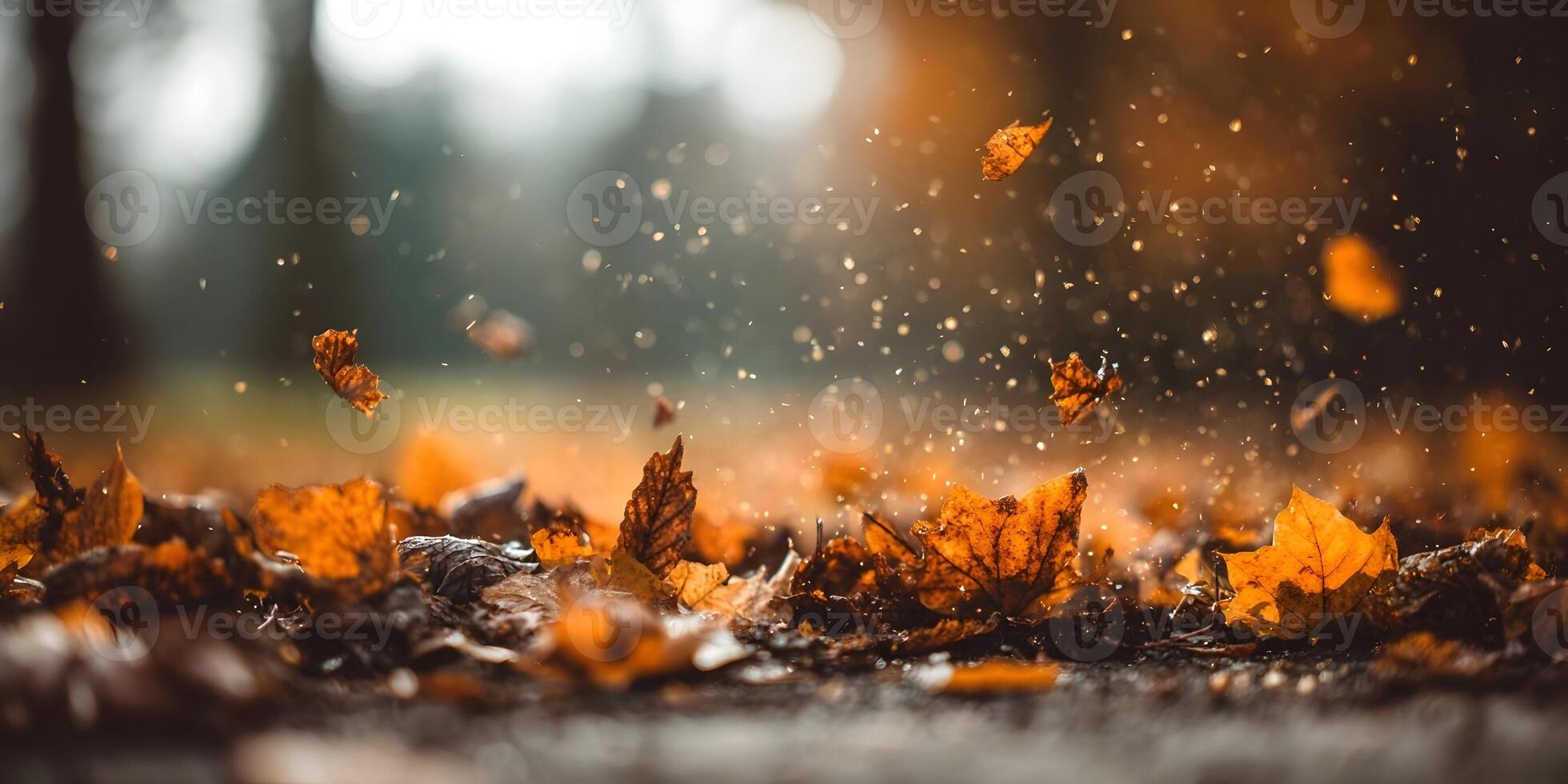 Autumn Leaves Falling Ground Golden Brown Colors Nature Scene photo