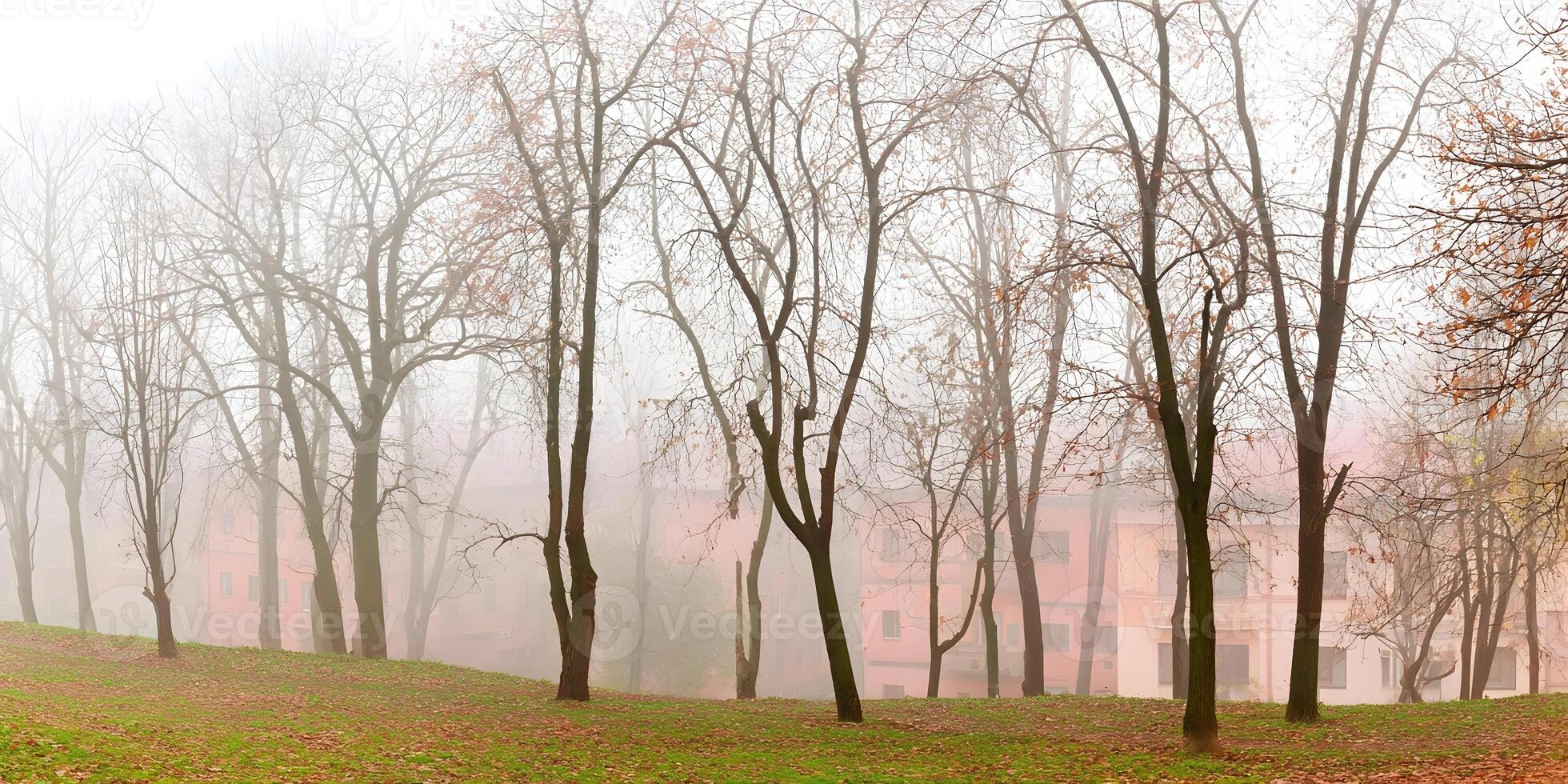 Misty Autumn Day Park Scene Bare Trees Pink Building Foggy Landscape photo
