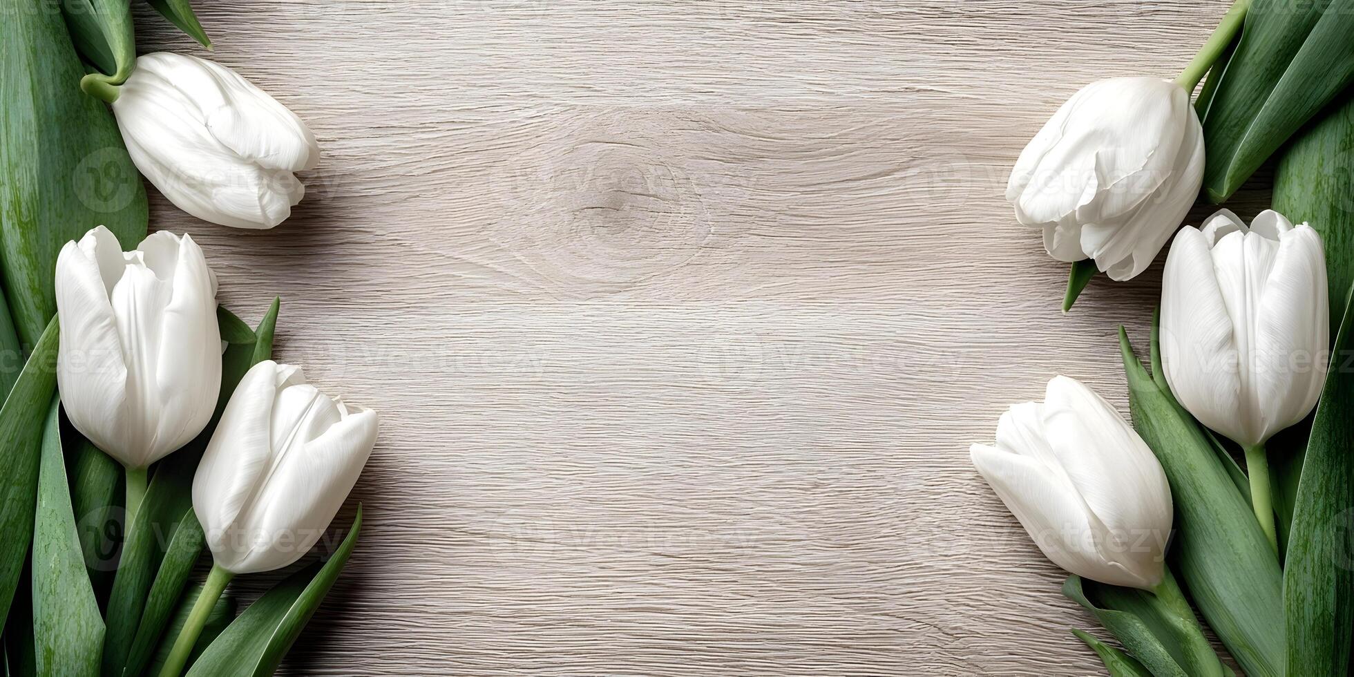 White Tulips Frame on Light Wood Background Floral Arrangement photo
