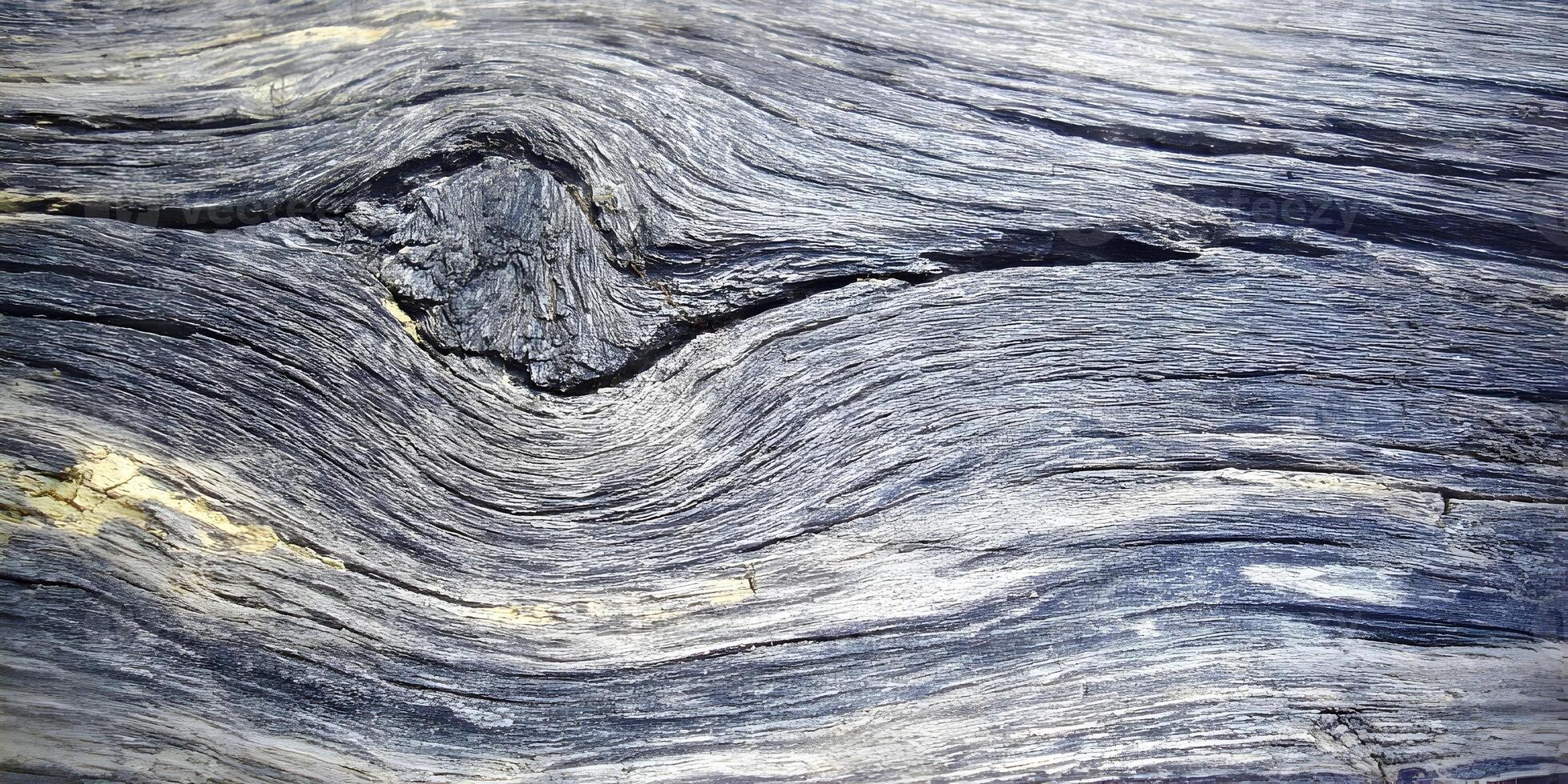 Dark Gray Weathered Wood Texture Knots Grain Background photo