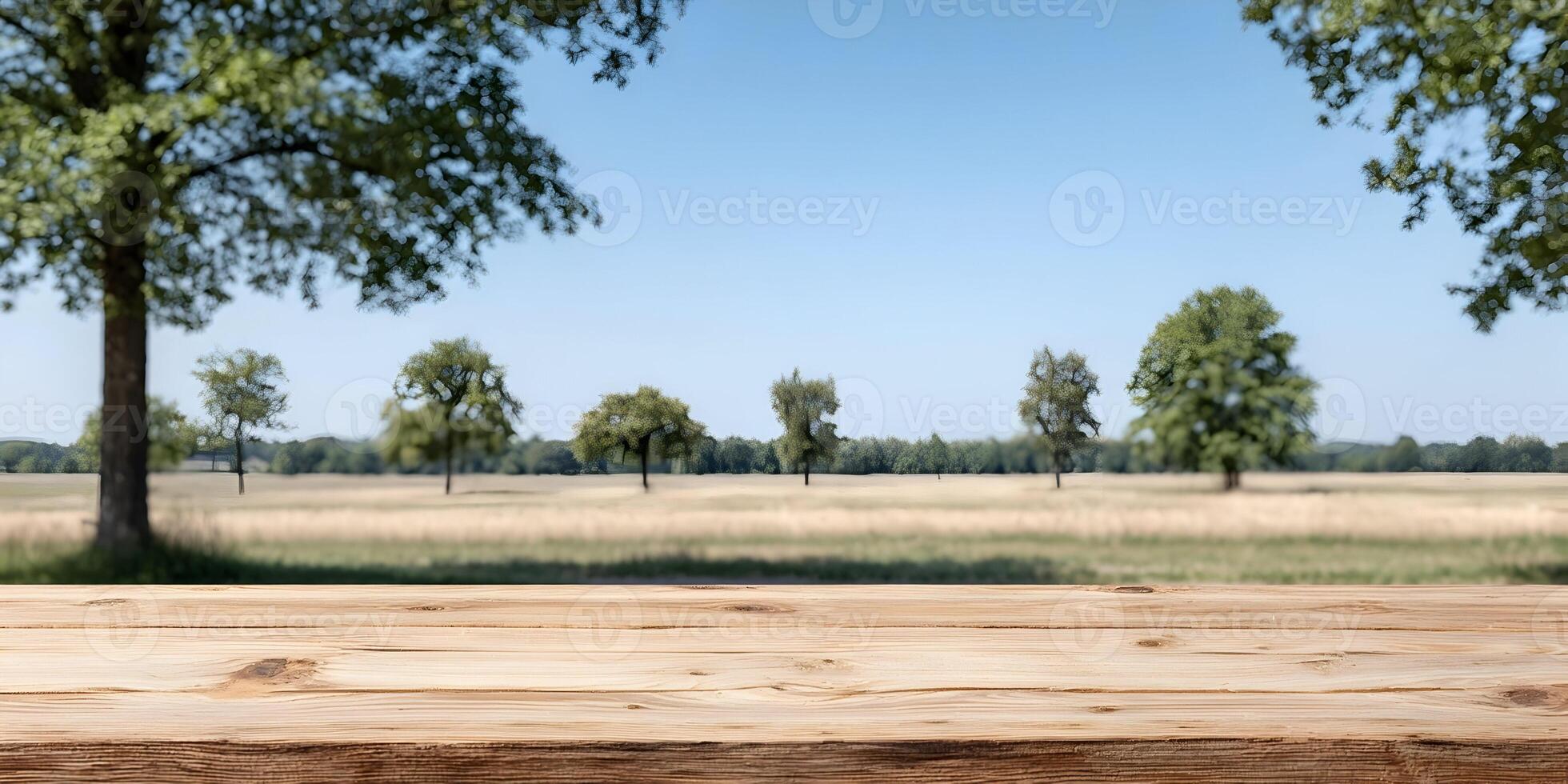 Wooden Tabletop Against Blurred Summer Landscape with Trees photo