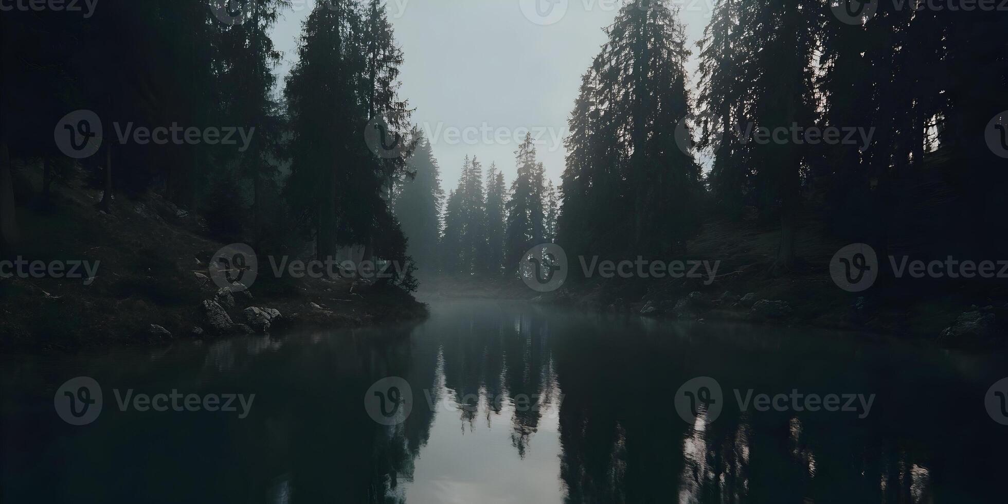 Dark Moody Forest Lake Mist Nature Scenery Calm Water Reflection Trees photo