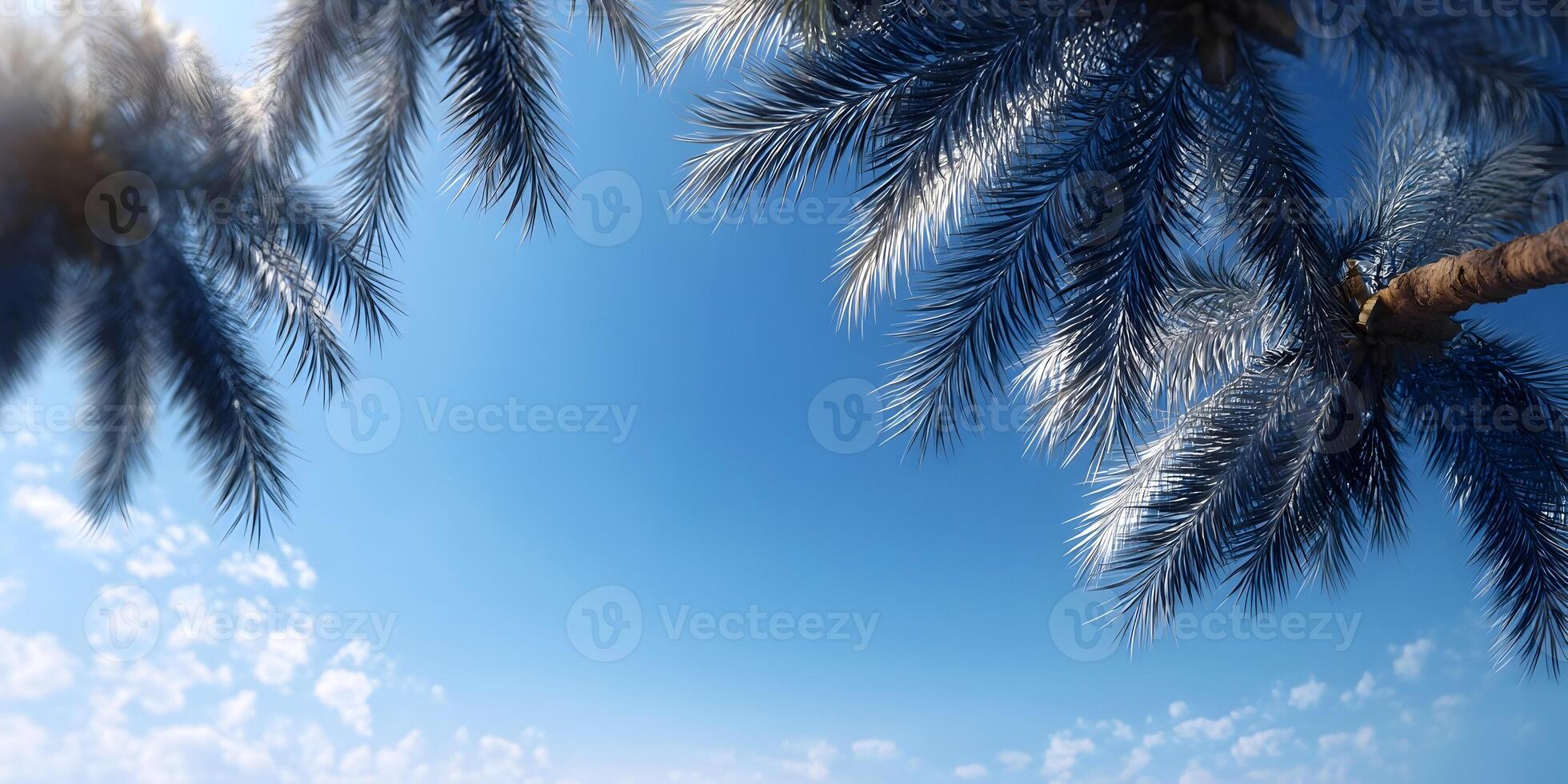 Tropical Palm Tree Branches Sunny Sky Background Summer Vacation photo
