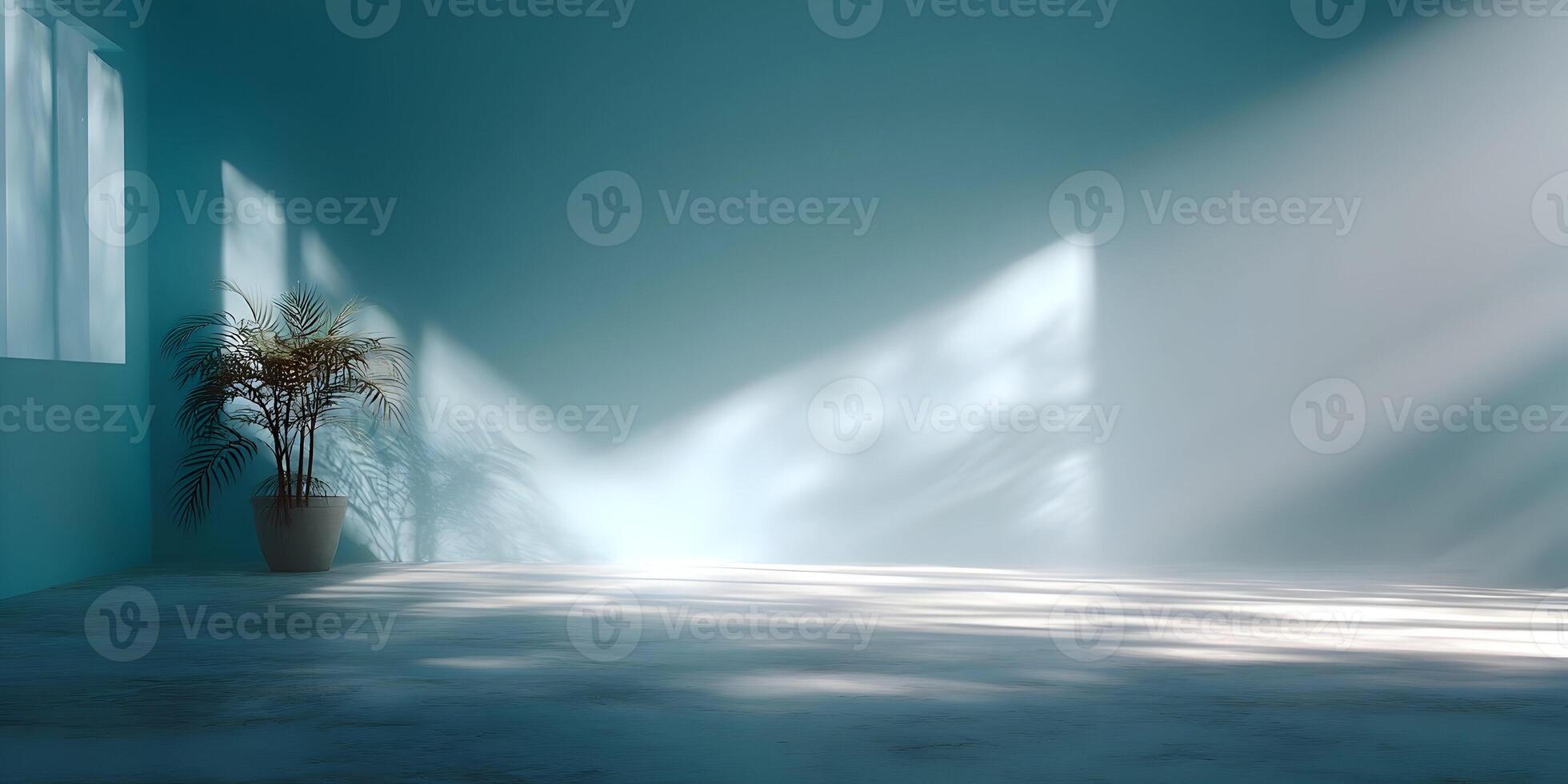 Teal Room Empty Interior Plant Potted Sunlight Shadows Minimalist Design photo