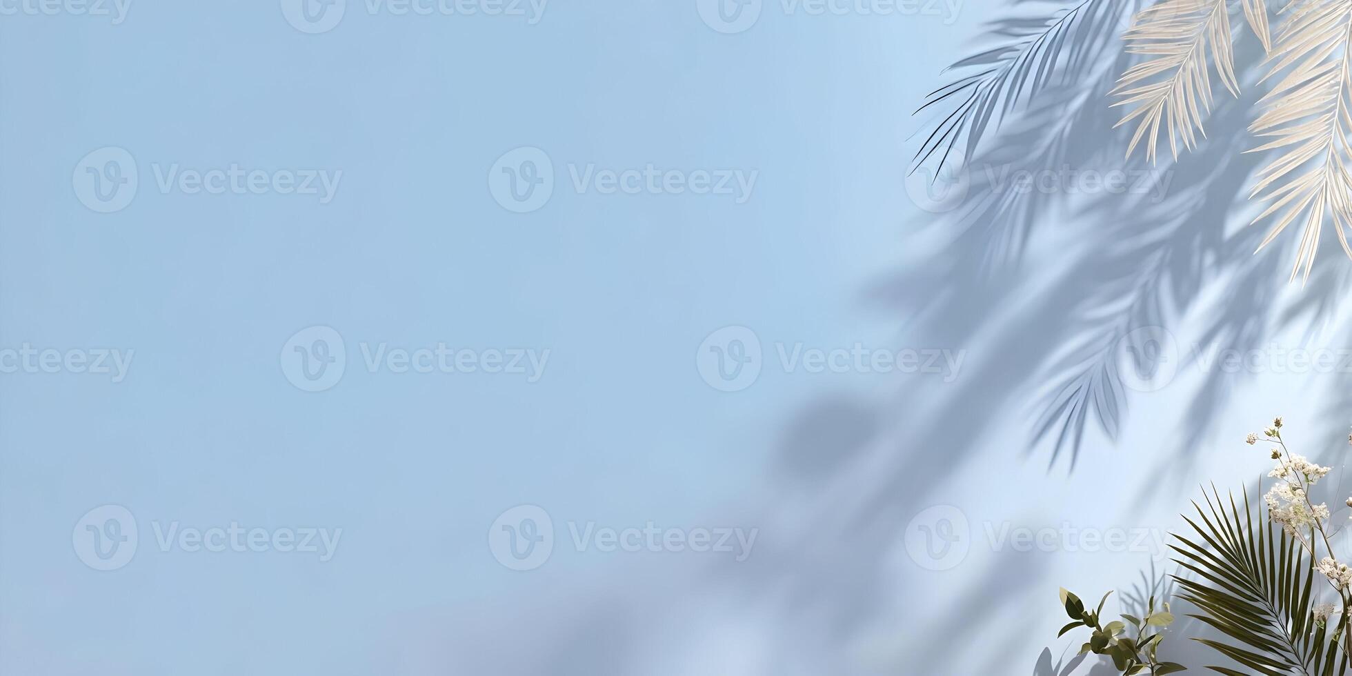 Light Blue Background Palm Leaf Shadows Flowers Summer photo