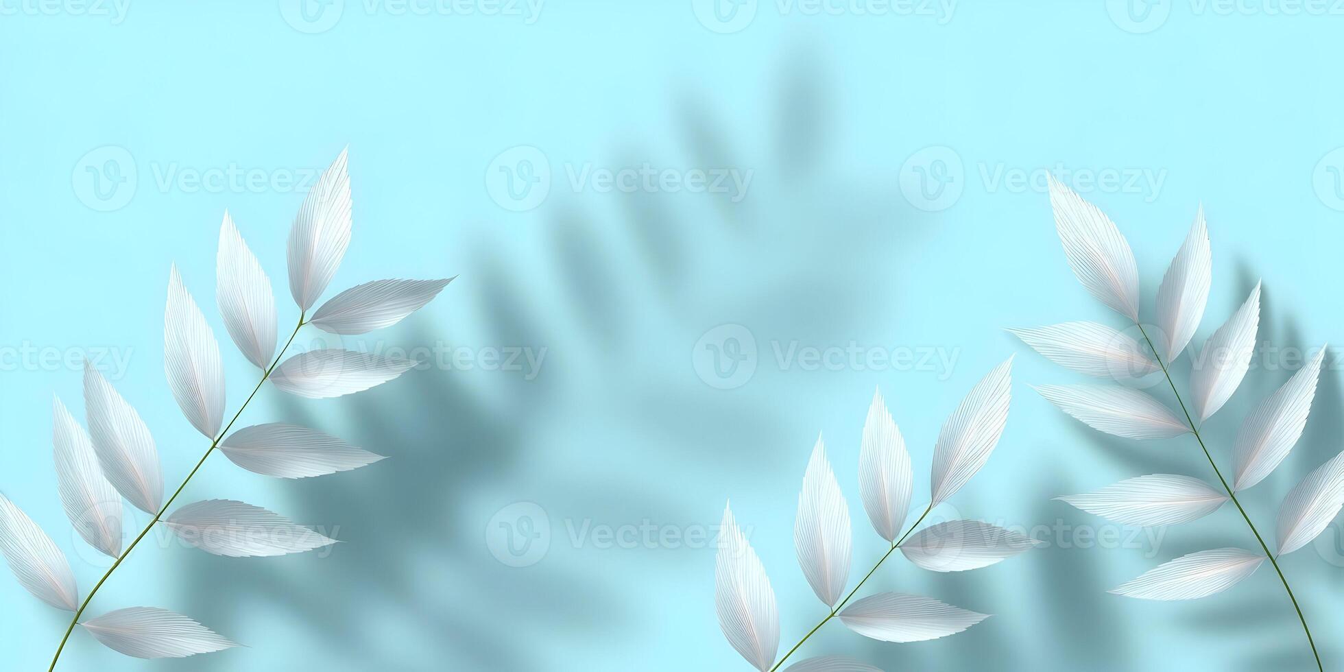 Pale White Leaf Branches on Light Blue Background with Shadows photo