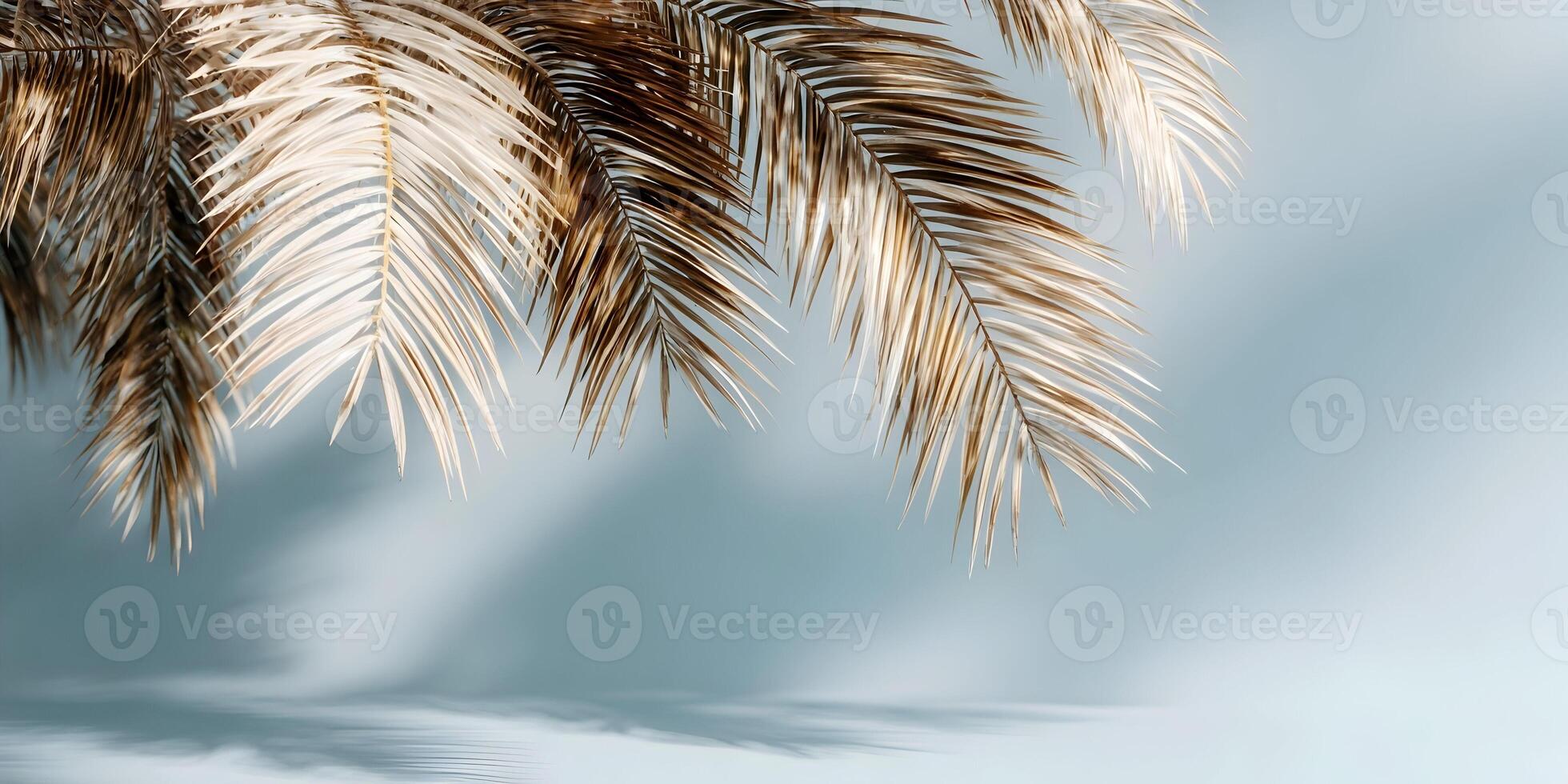 Dried Palm Leaves on Blue Background Minimalist Design photo