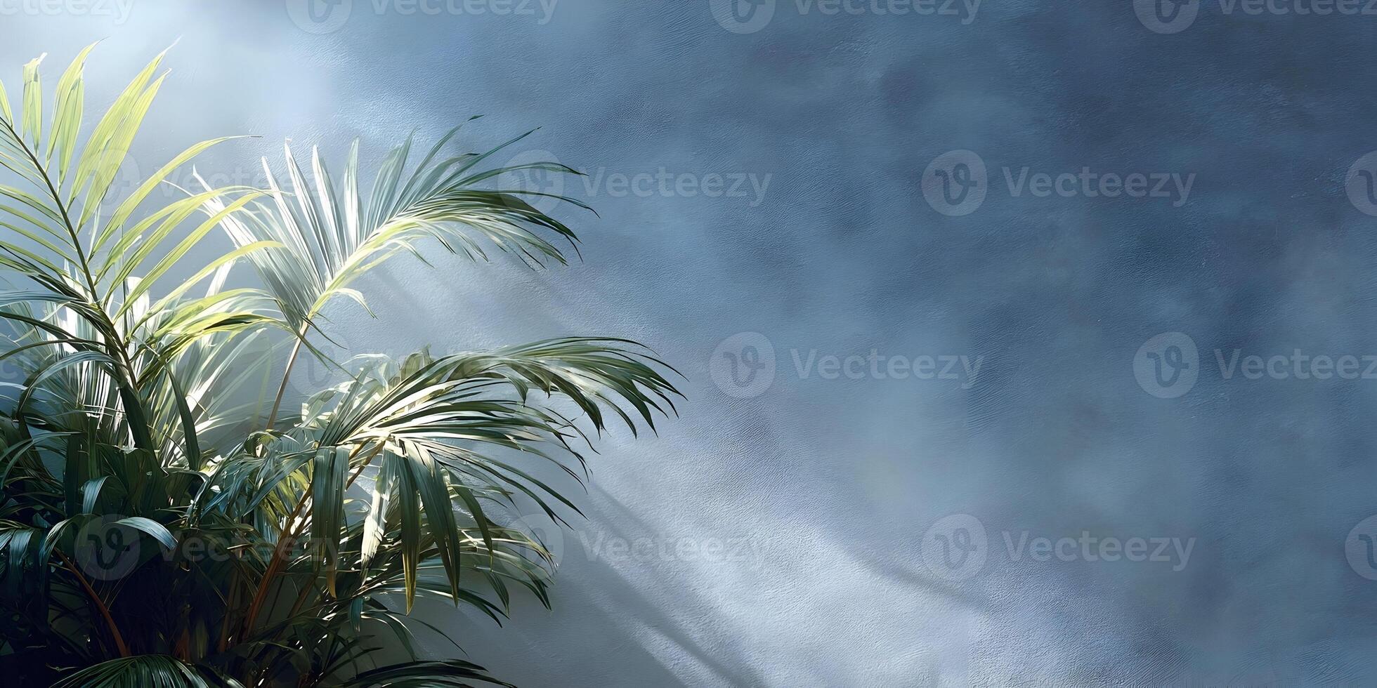 Tropical Palm Leaves Against Blue Wall Sunlight Shadow Background photo