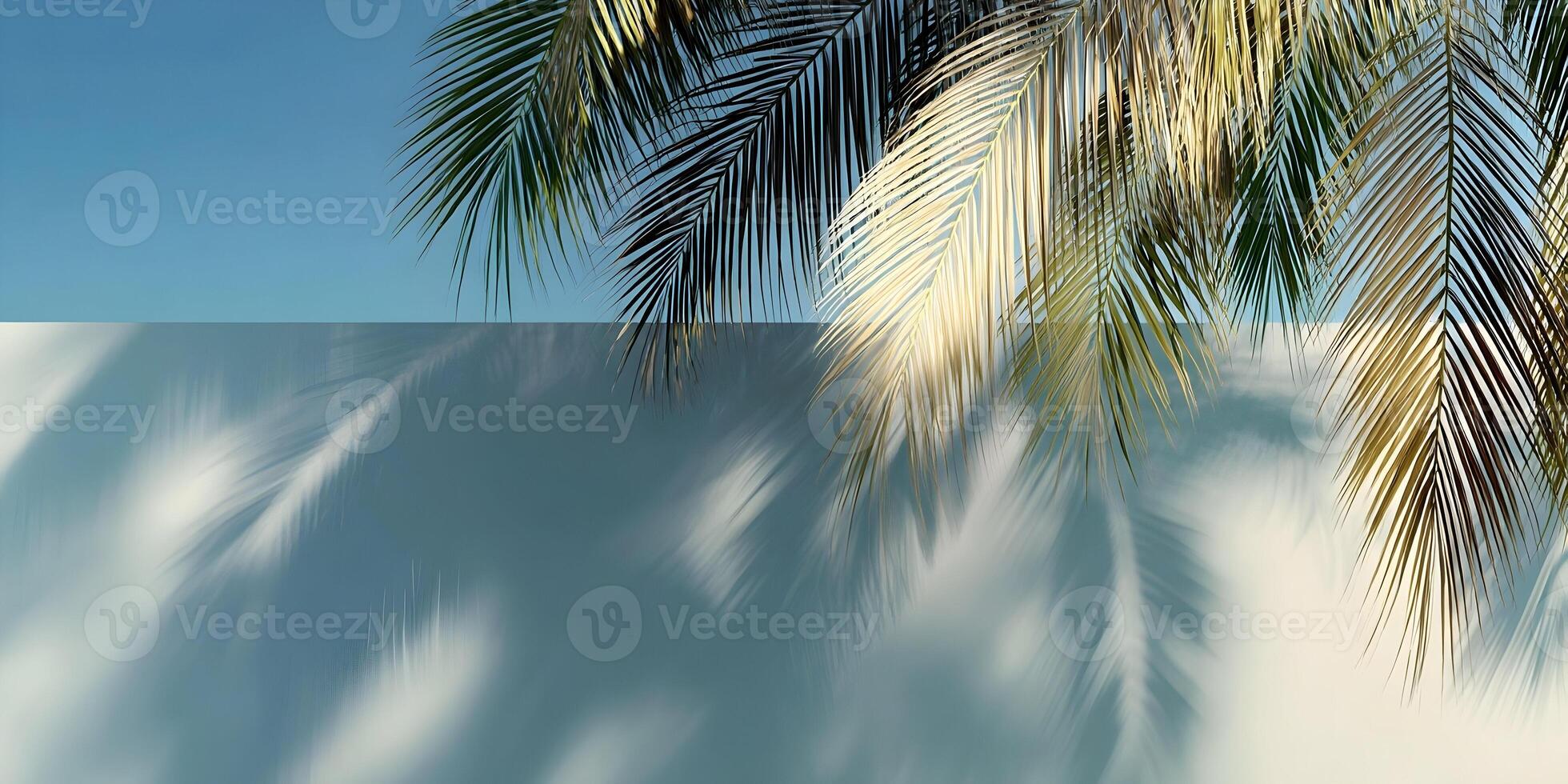 Palm Tree Leaves and Shadows on Light Blue Wall Background Summer Design photo