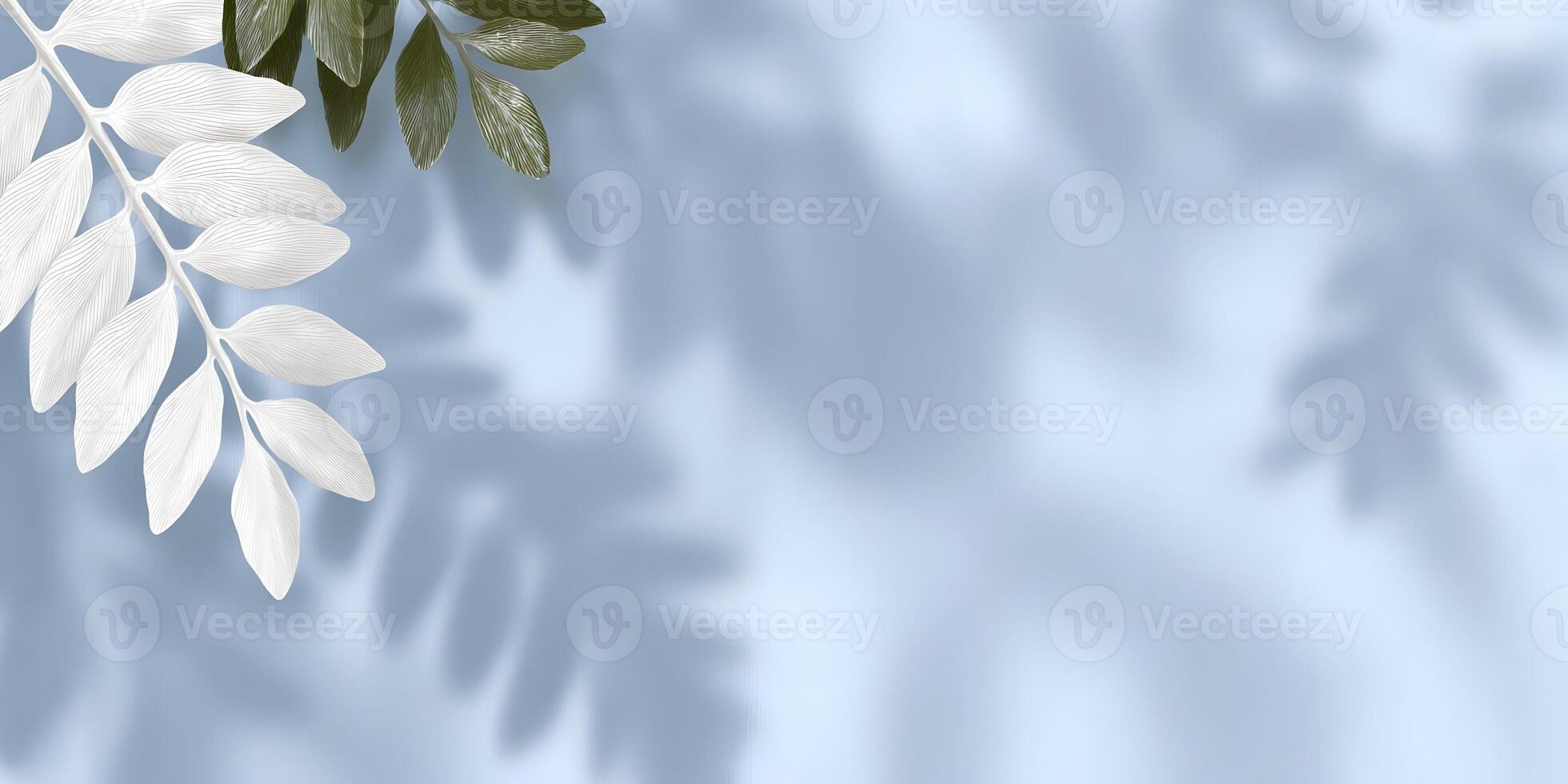 White and Green Leaves with Shadows on Light Blue Background photo