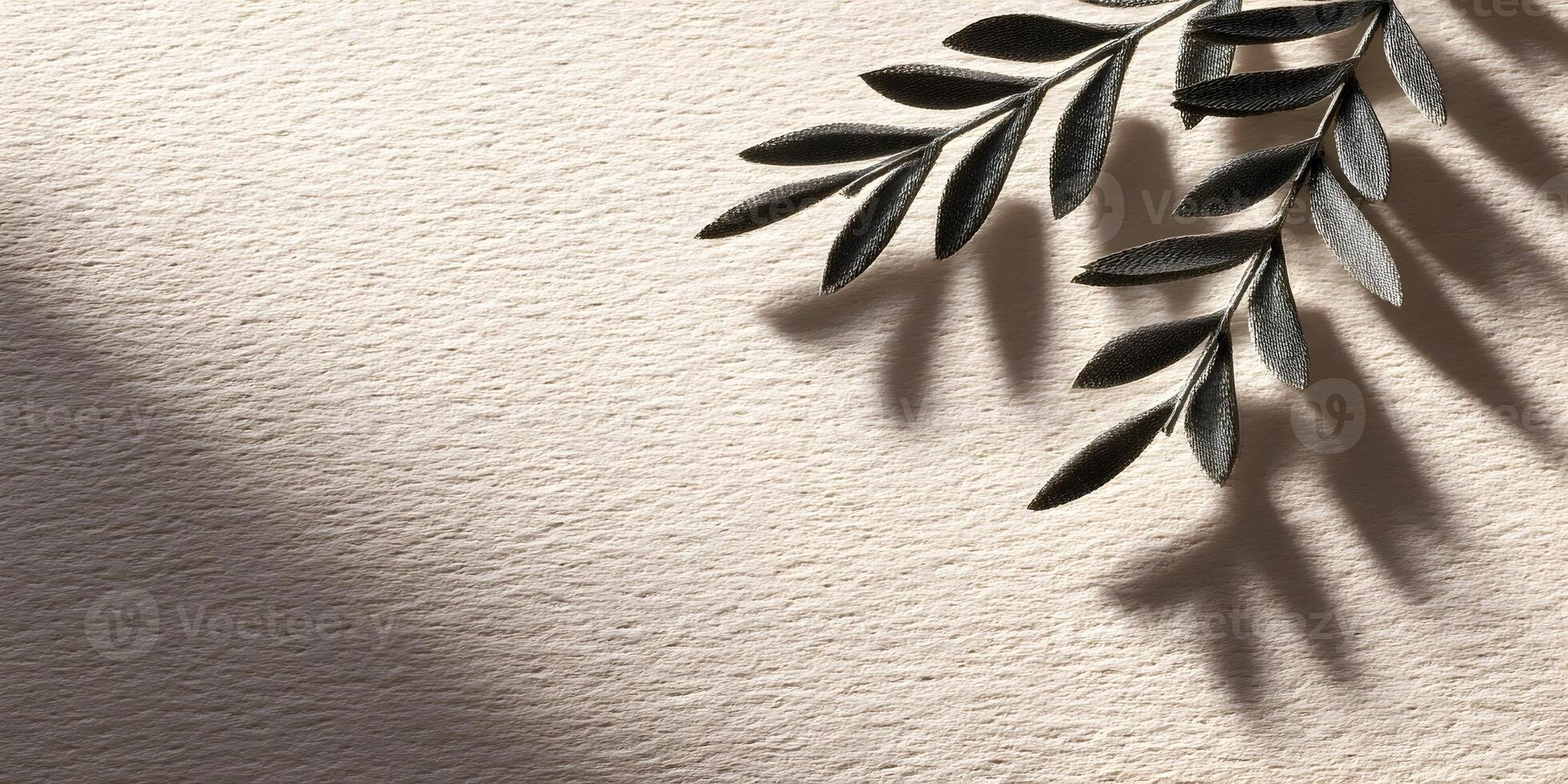 Beige Textured Background with Dark Gray Olive Branch and Shadow photo