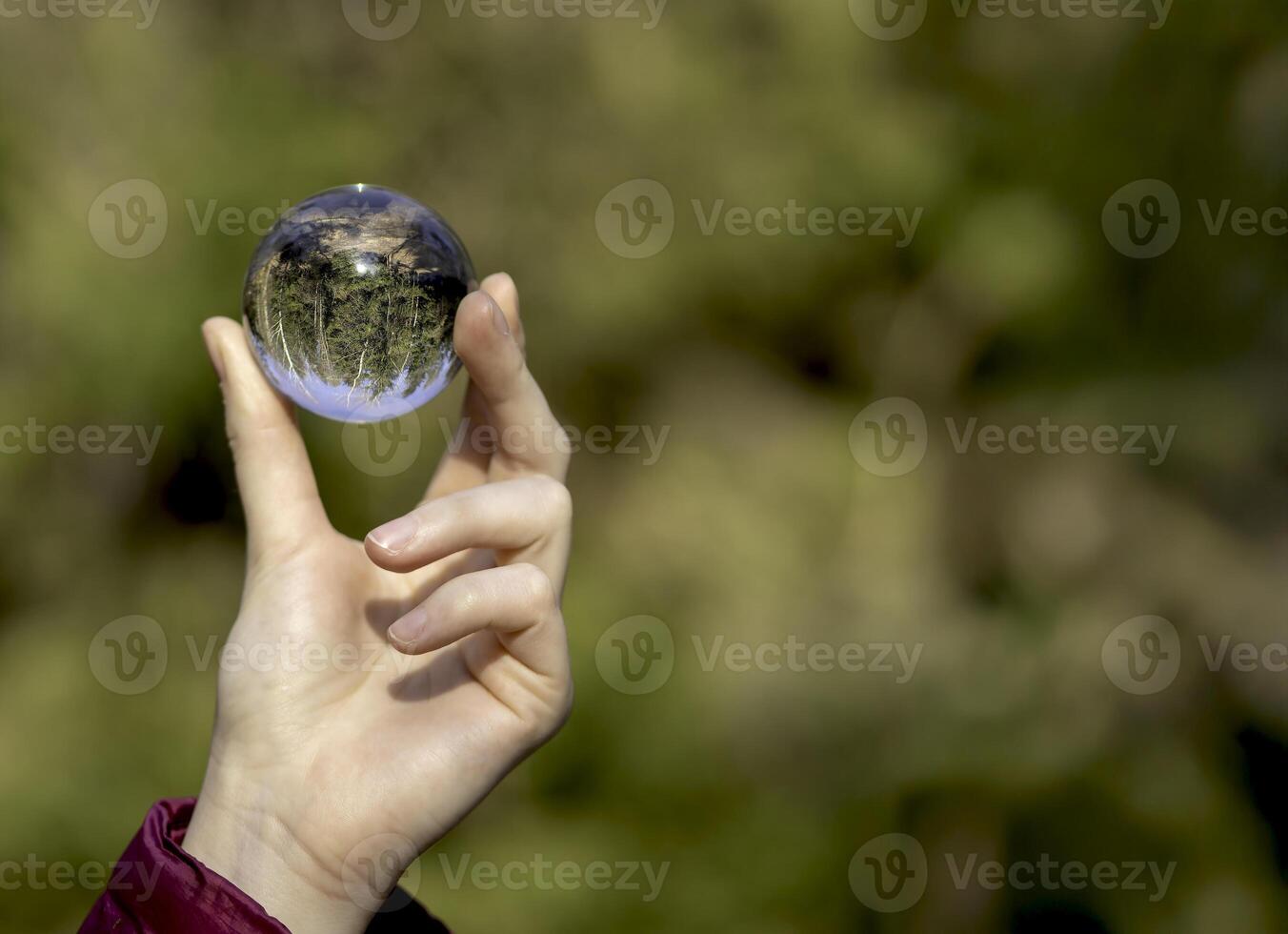 Environment concept. Green earth, globe, and nature with trees and plants. Focus on ecology, photo