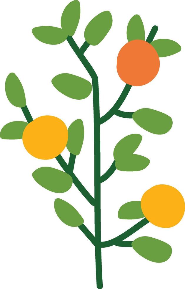 Fruit Branch with Leaves vector