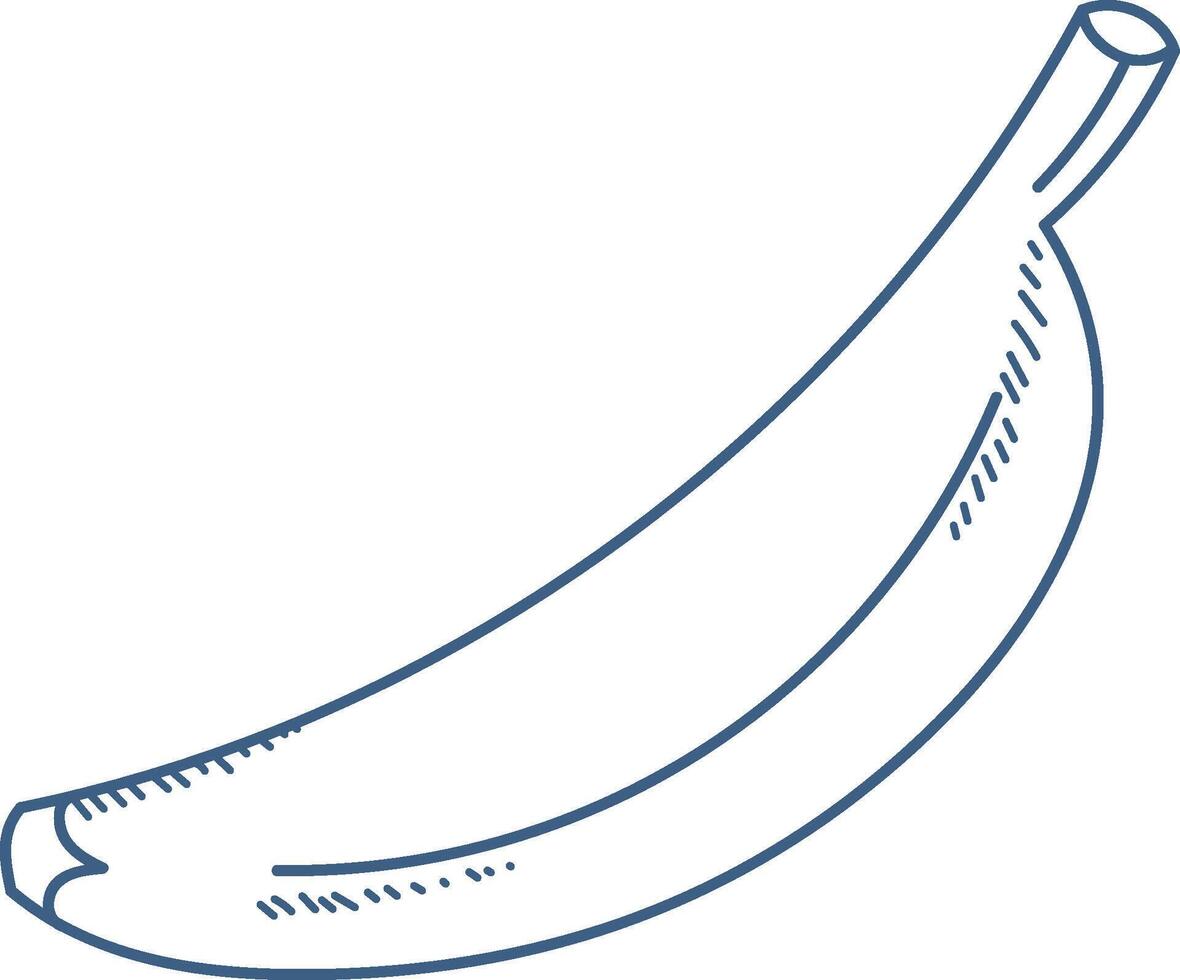 Outlined Banana Sketch vector