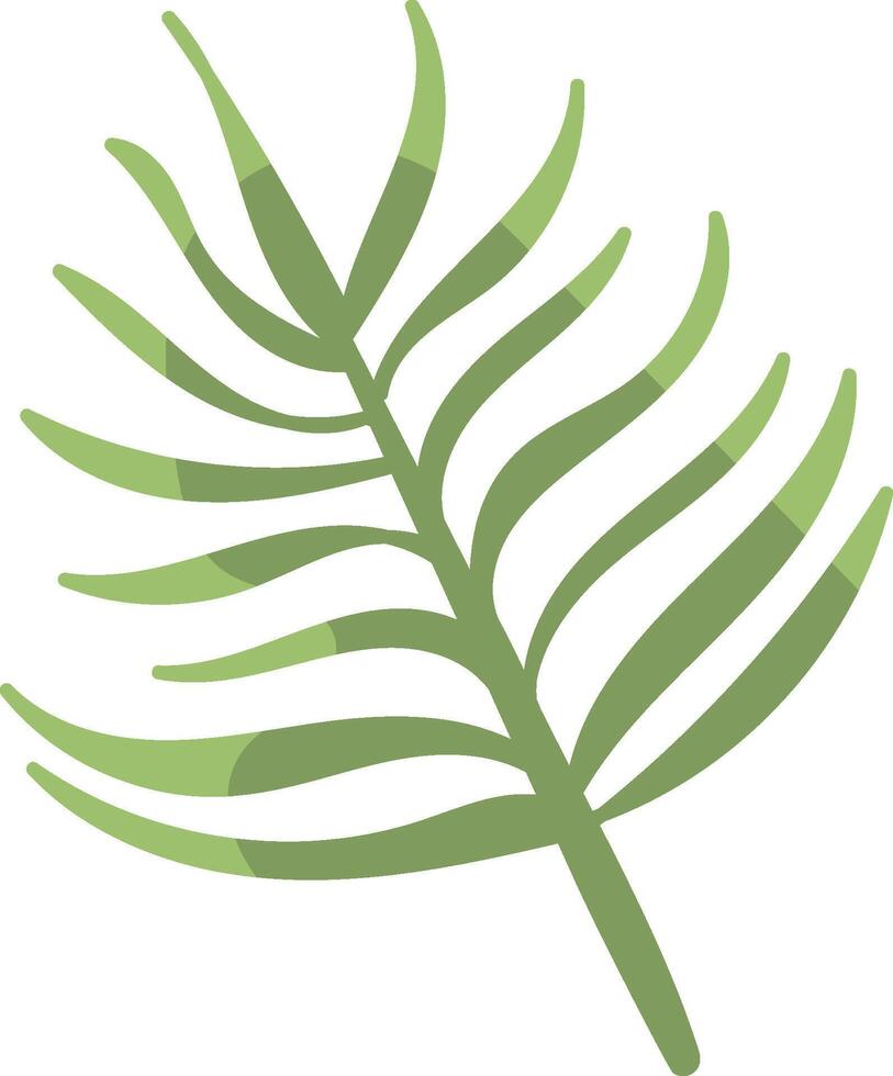 Palm Leaf with Curved Fronds vector